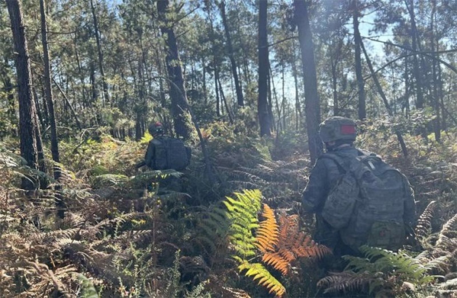 Práctica en las jornadas de combate en bosques.