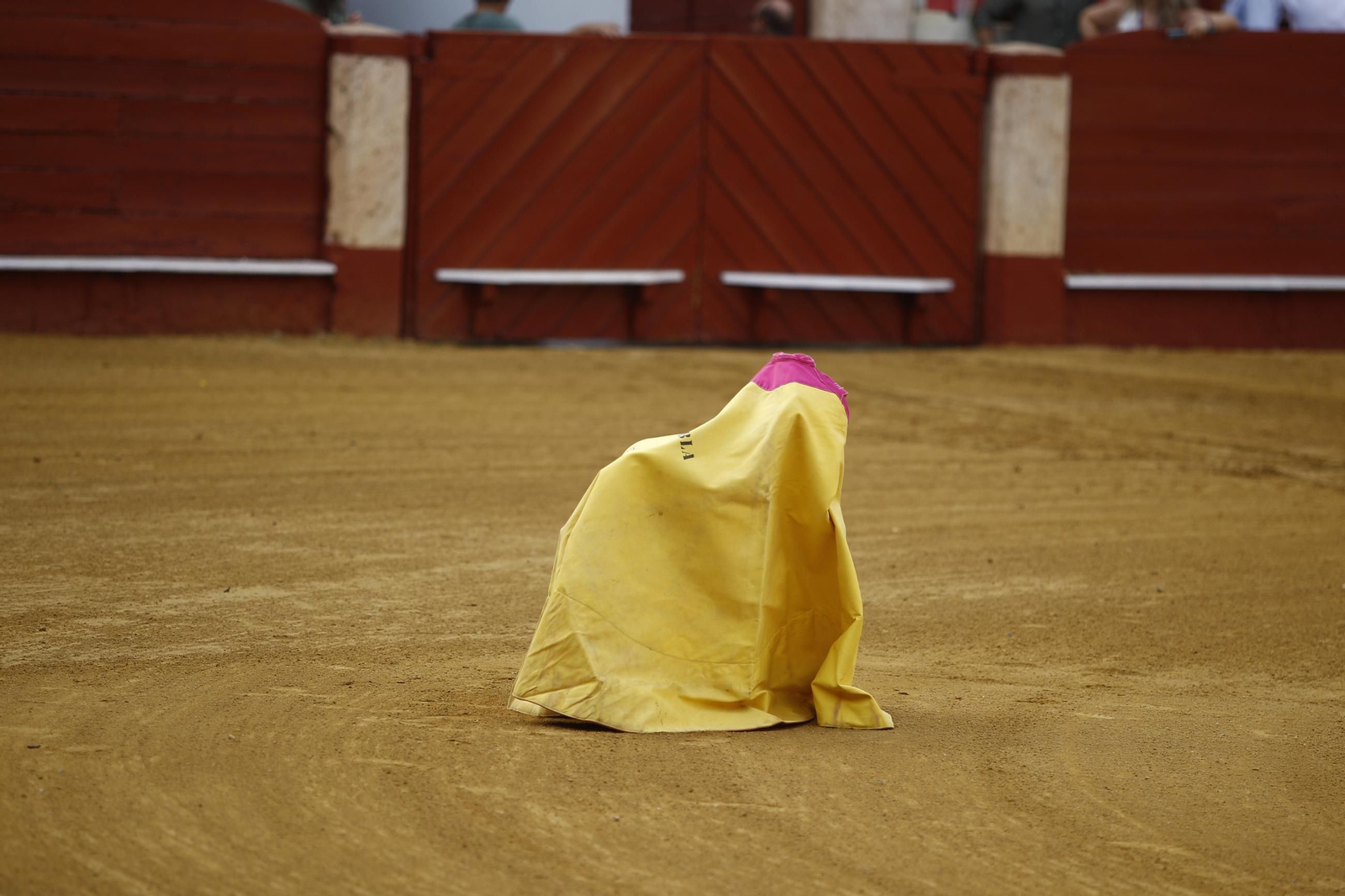 Las mejores imágenes de la clase práctica de la Escuela Municipal Taurina de Almería