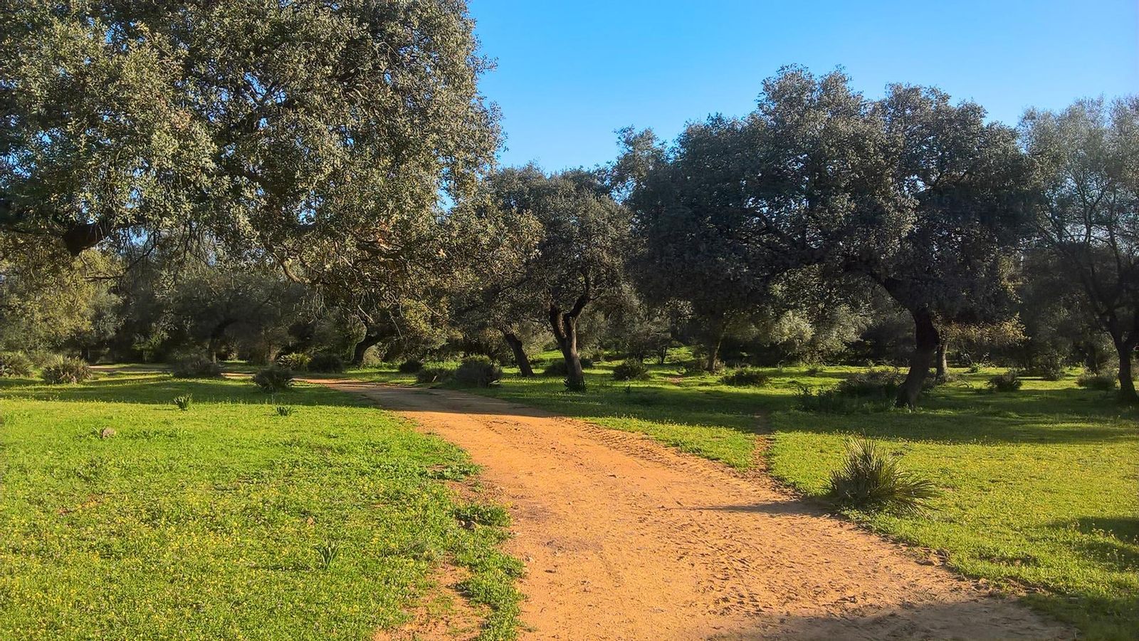 Entrada en la Sierra Norte en la etapa entre Guillena y Castilblanco.