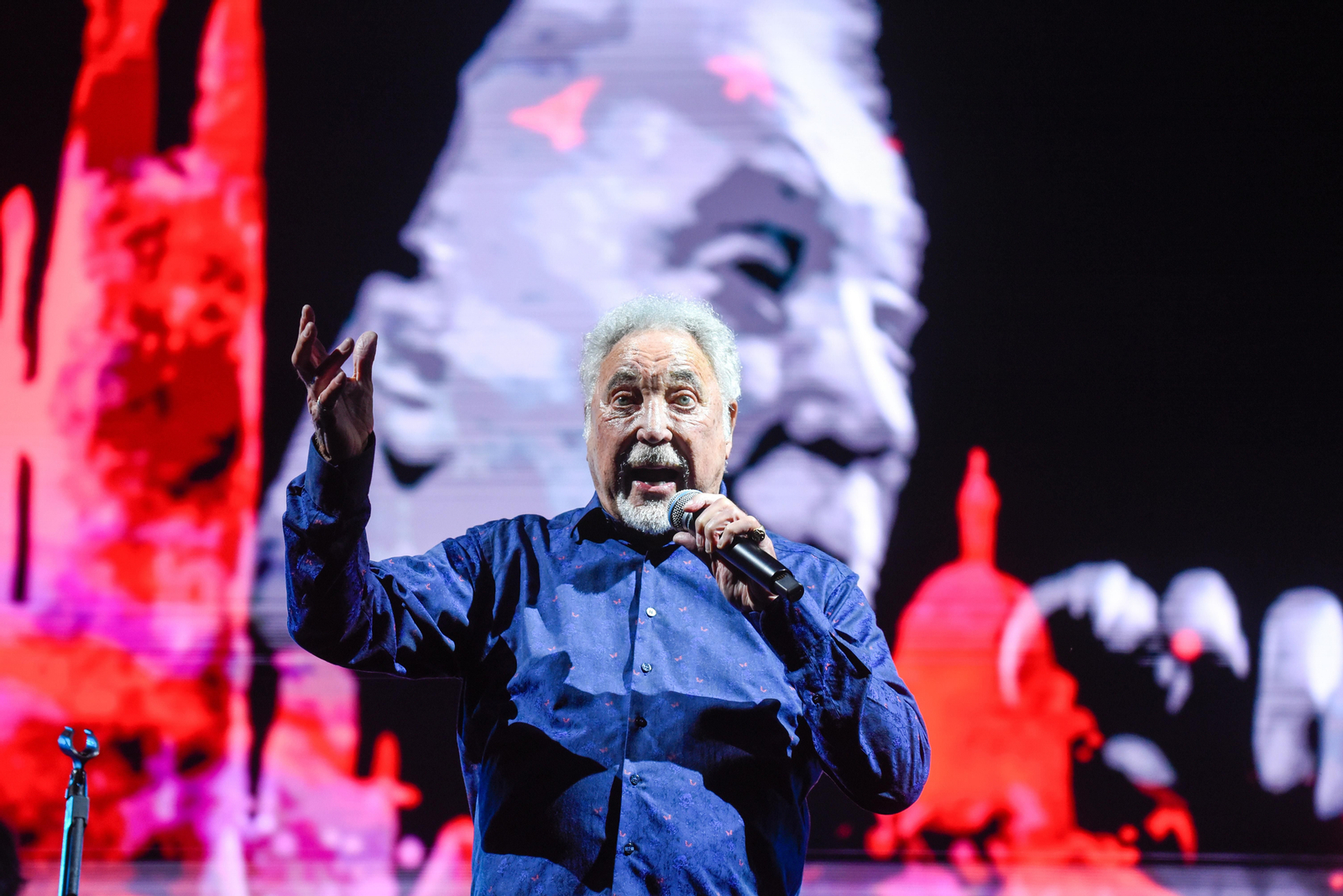 Concierto de Tom Jones