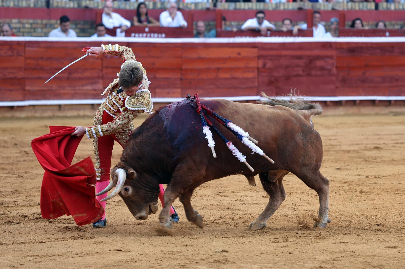 Toros La Merced 2025: Imágenes de la corrida de David de Miranda, Marco Pérez y Borja Jiménez