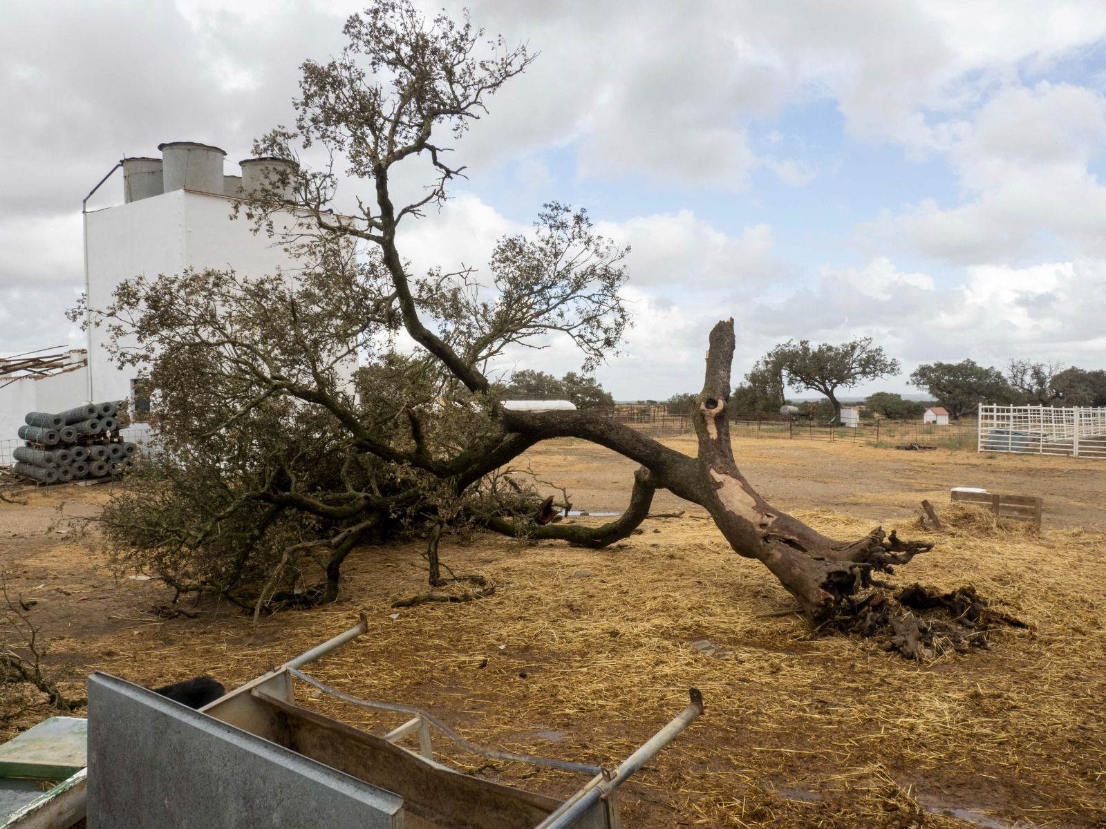 Imágenes de los destrozos provocados por un tornado en Villanueva de los Castillejos