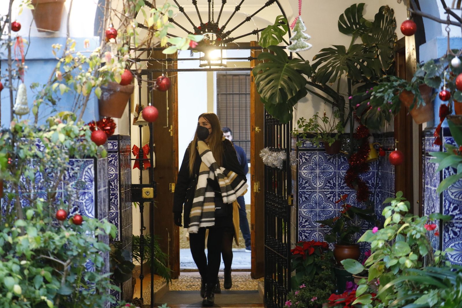 Las fotografías de los Patios de Córdoba en Navidad