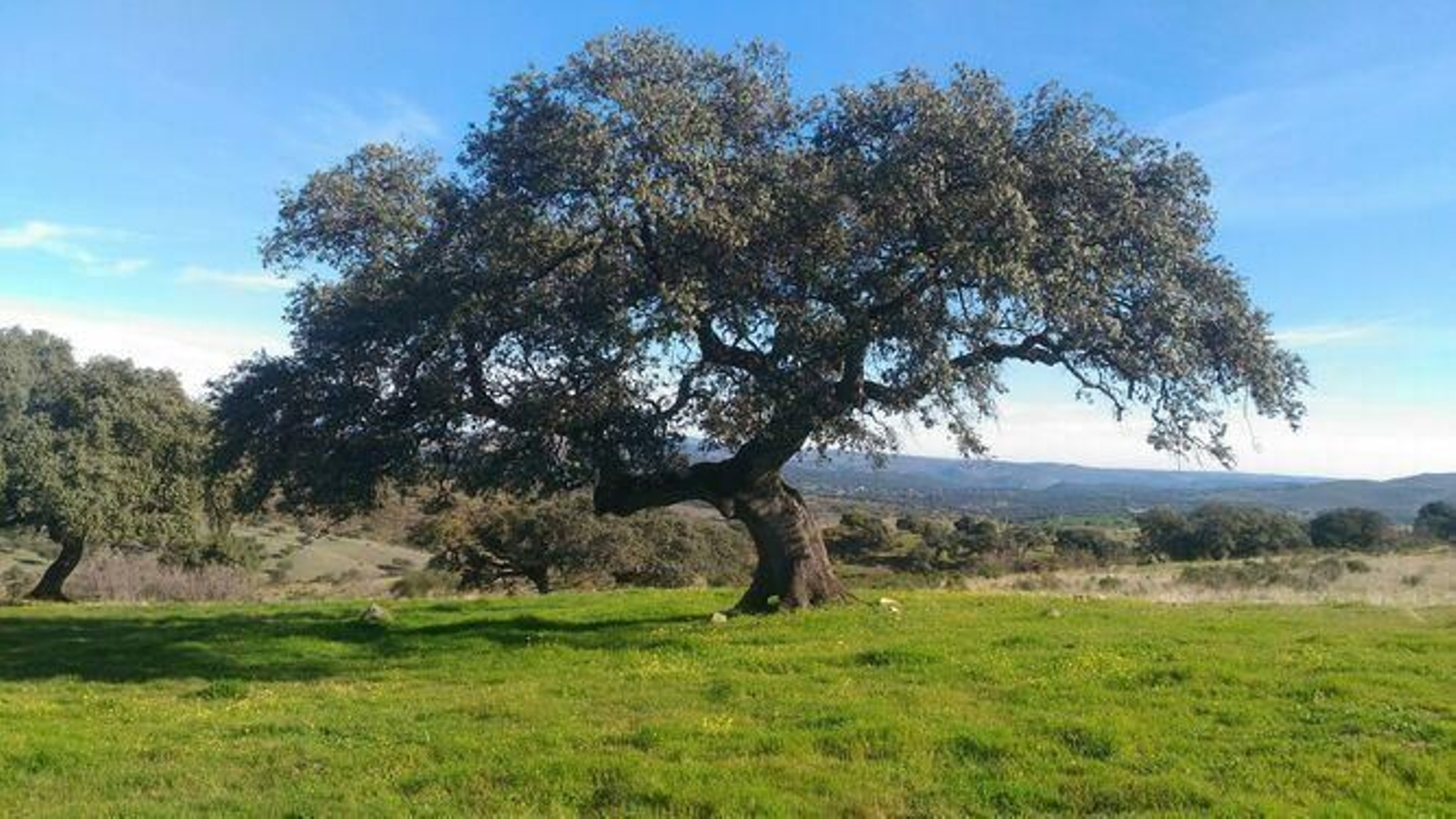 Ruta circular de las Minas de El Castillo de las Guardas: PR A 396
