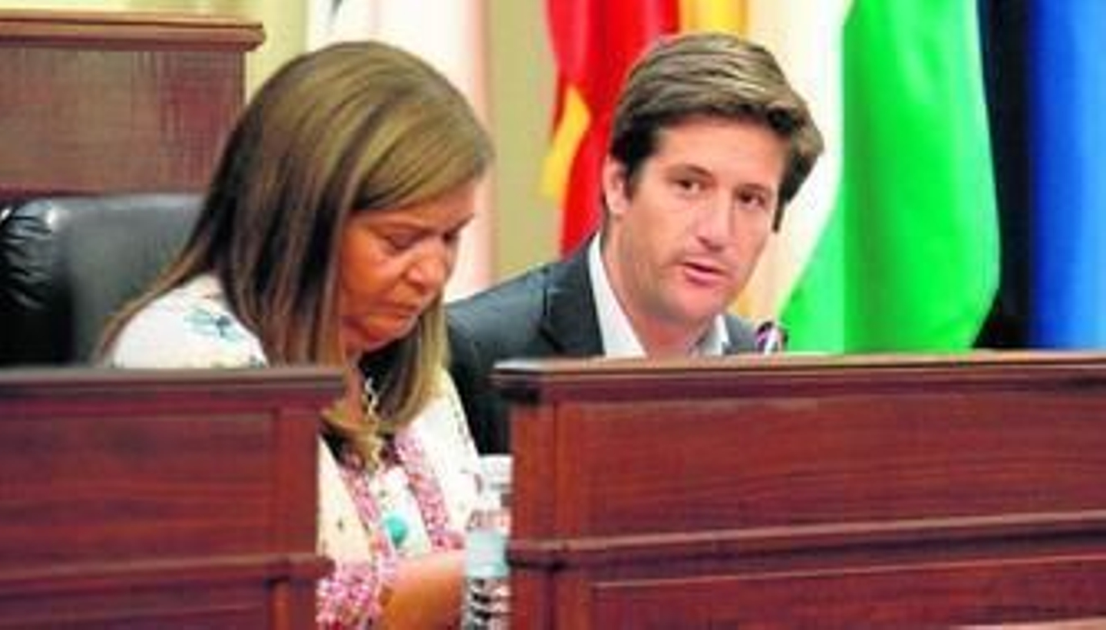 Carmen Céspedes y Guillermo García Longoria, en el salón de plenos de la Diputación Provincial.