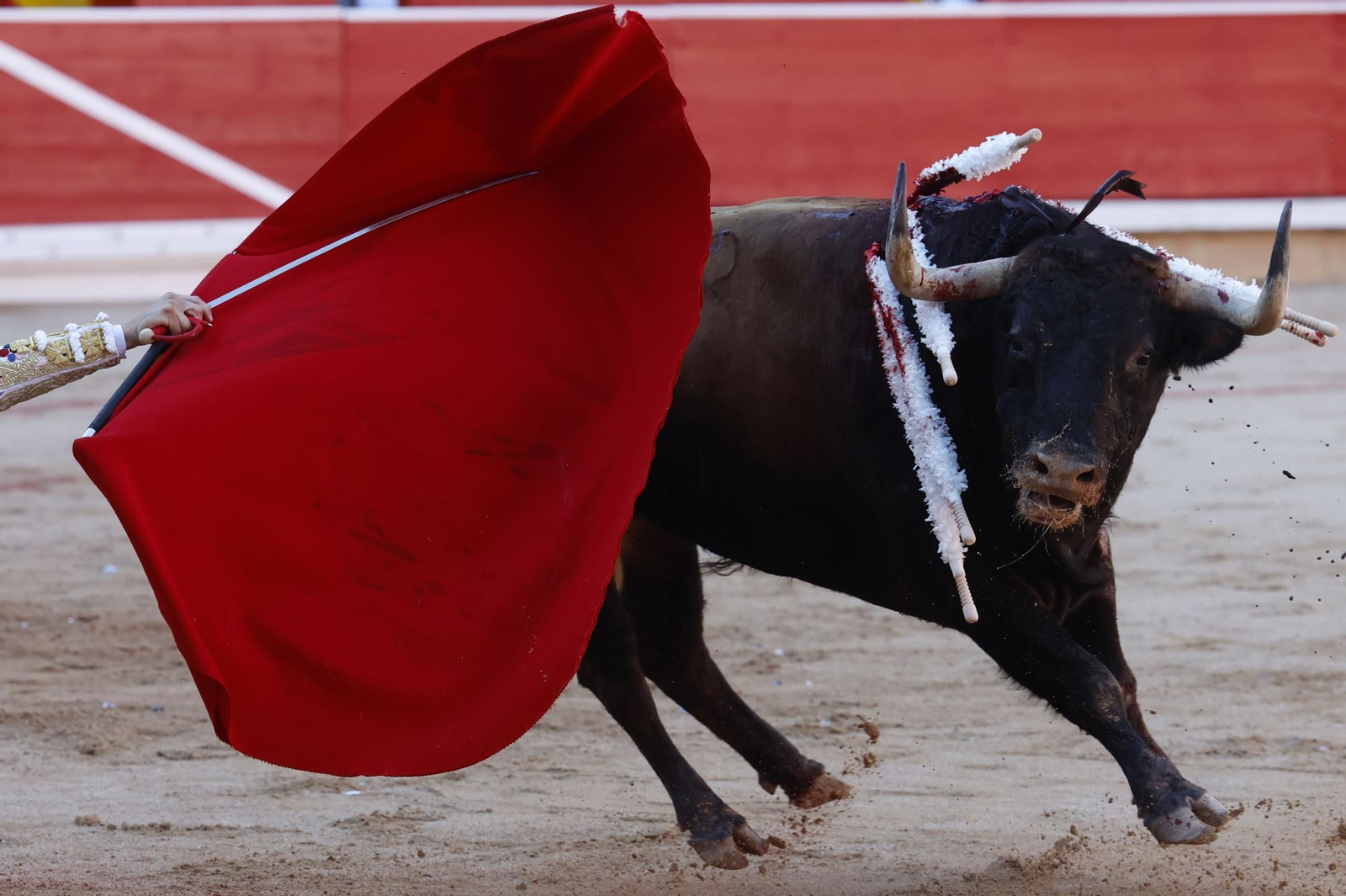 Las imágenes de la Puerta Grande en Pamplona