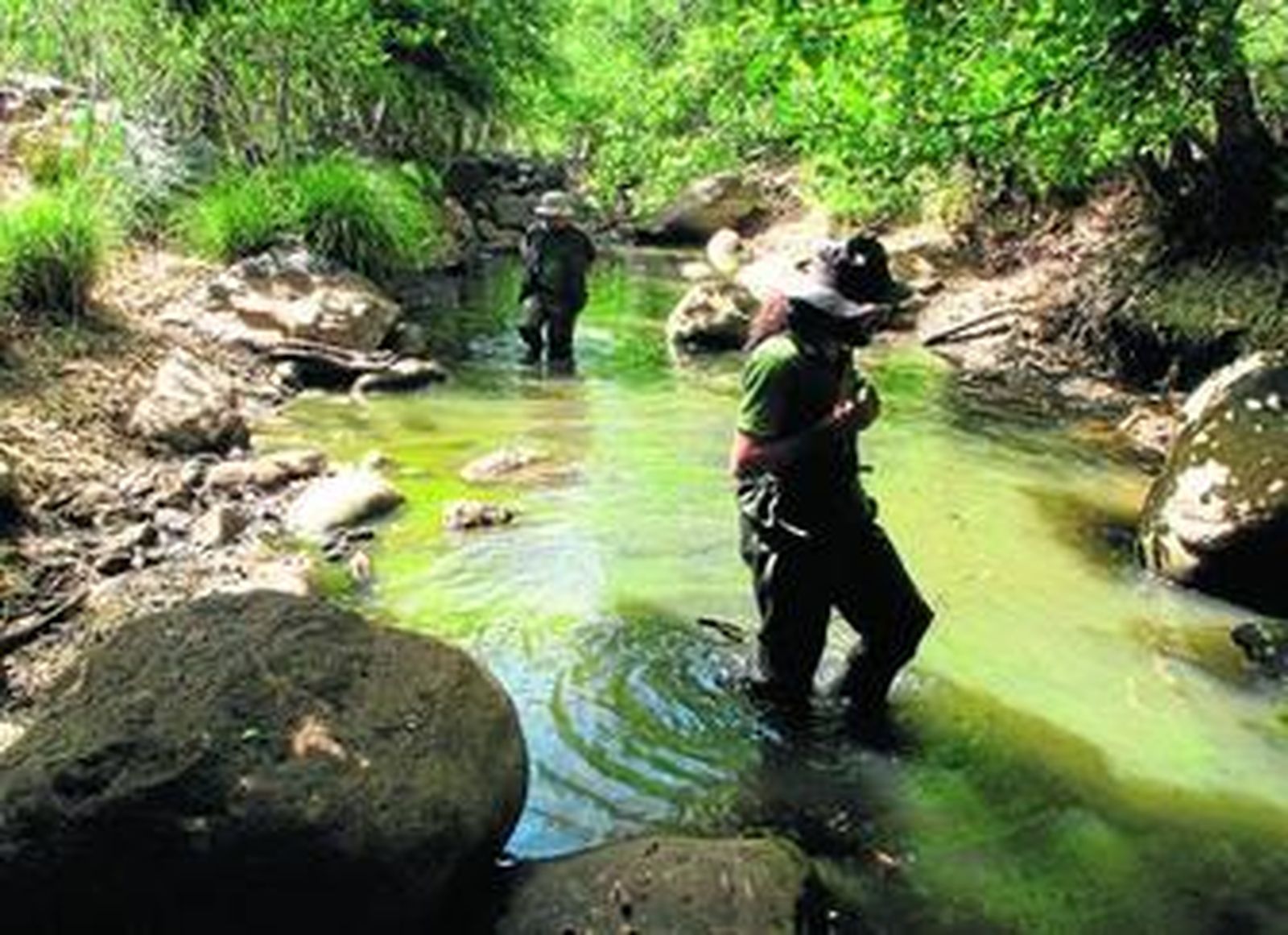 Dos técnicos de Medio Ambiente inspeccionan un río en busca de libélulas.