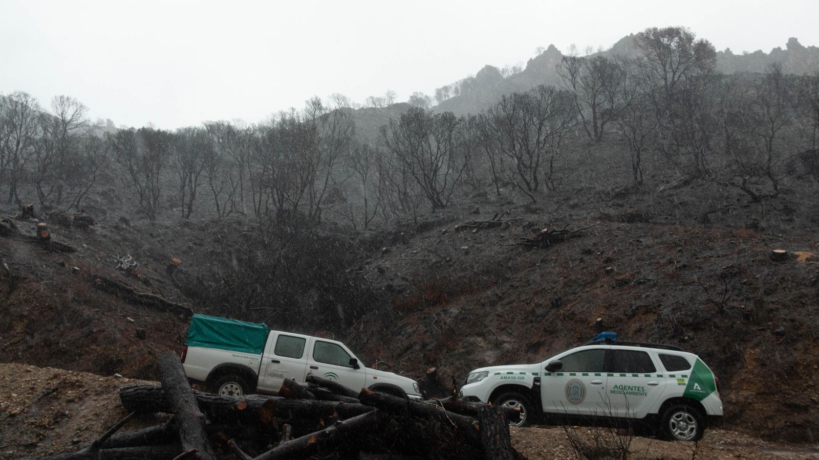 Han visitado la zona cero del incendio