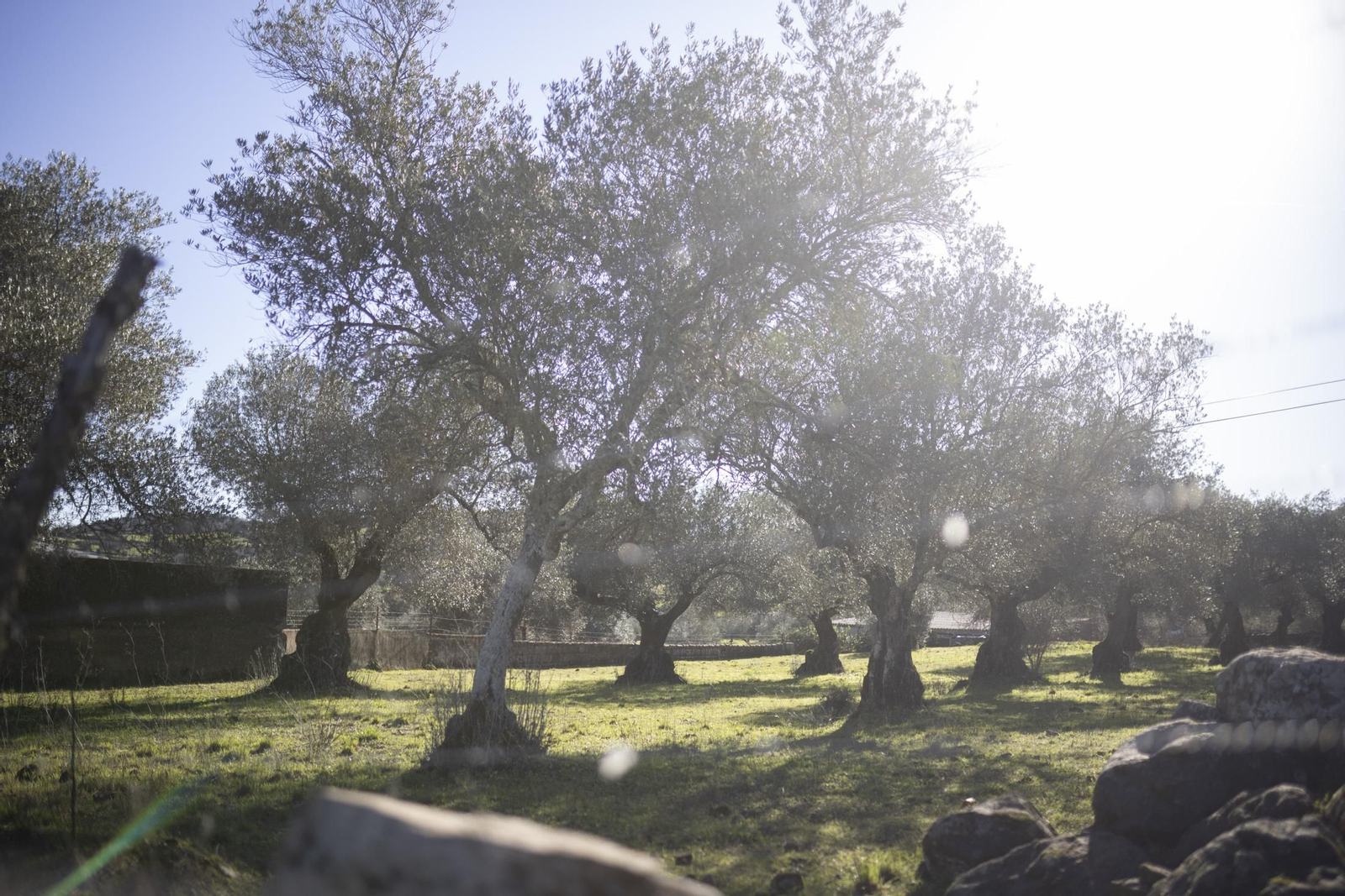 Imágenes de Cumbres de Enmedio