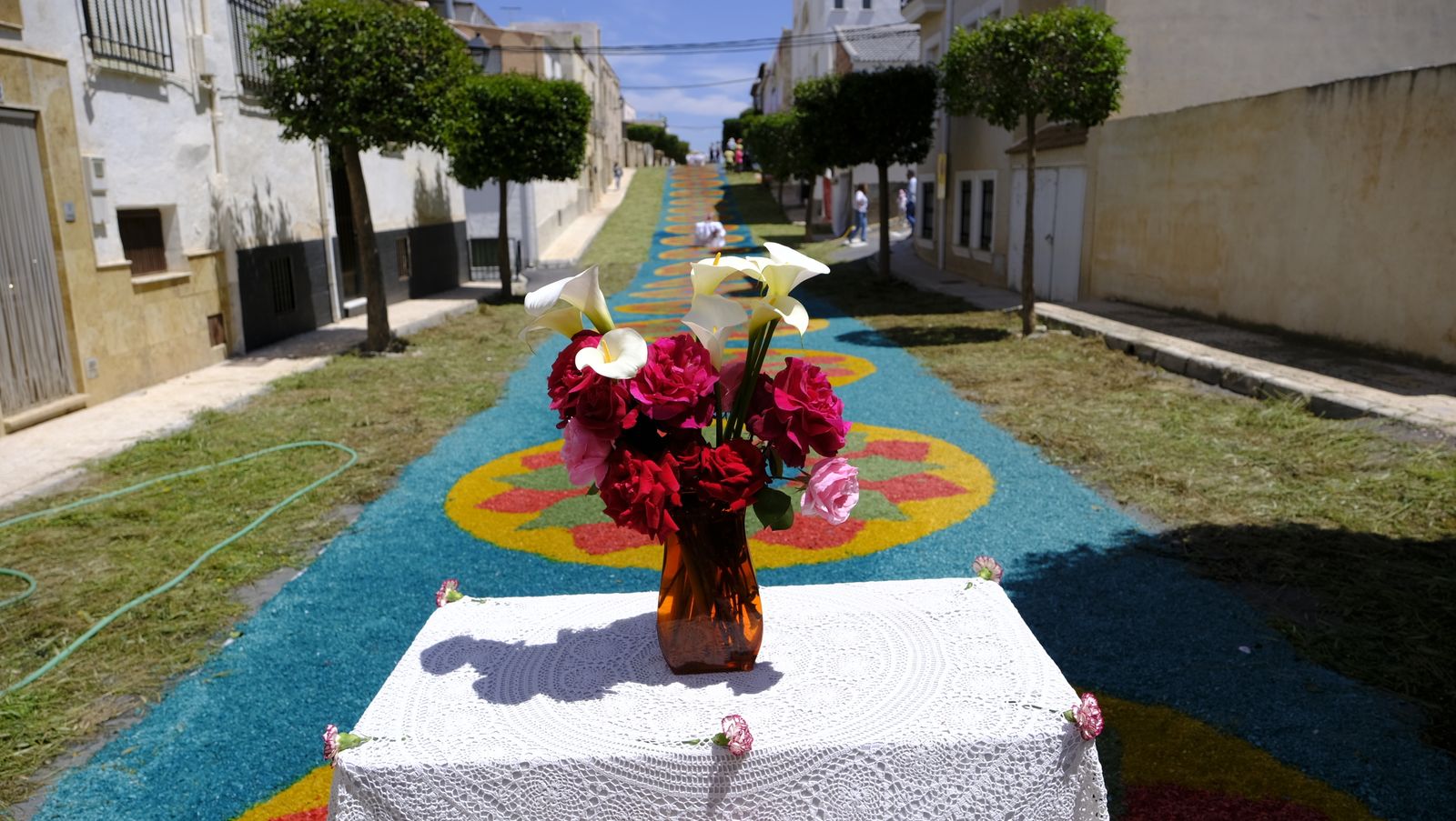 Imágenes de las Fiestas de la Virgen de Fátima en Tíjola.