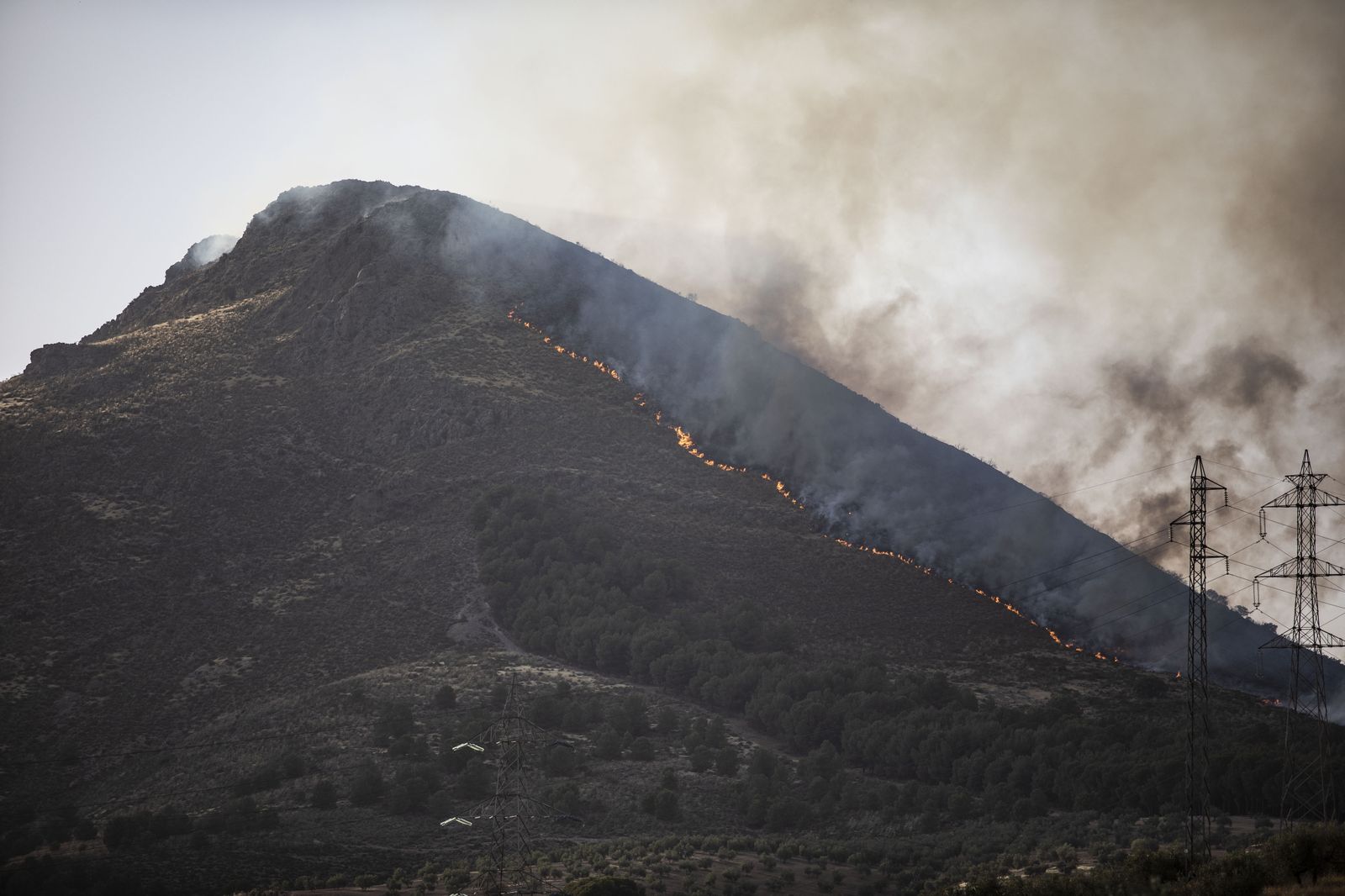El fuego obliga a desalojar viviendas y se acerca a urbanizaciones de Albolote
