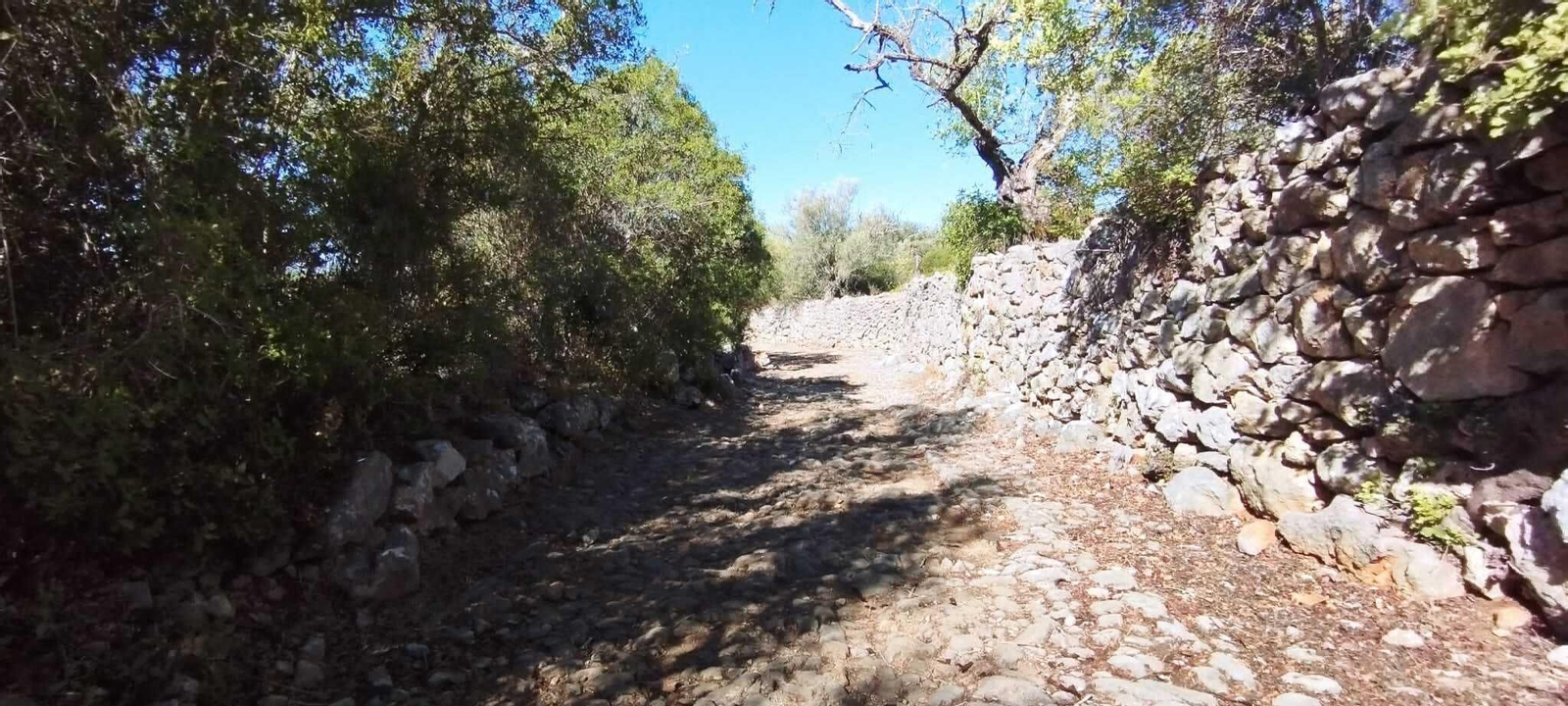 La Calçadinha Romana de São Brás de Alportel, un trozo de historia bajo tus pies