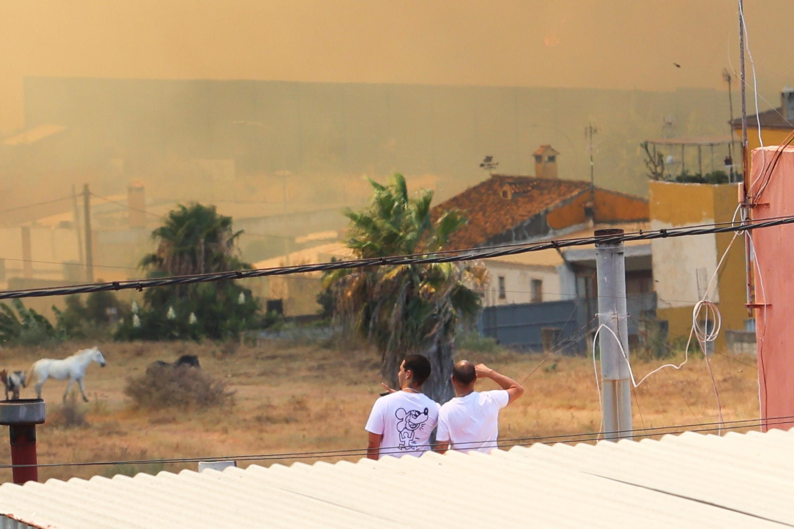 Las fotografías del incendio en el paraje de Botafuegos, en Algeciras