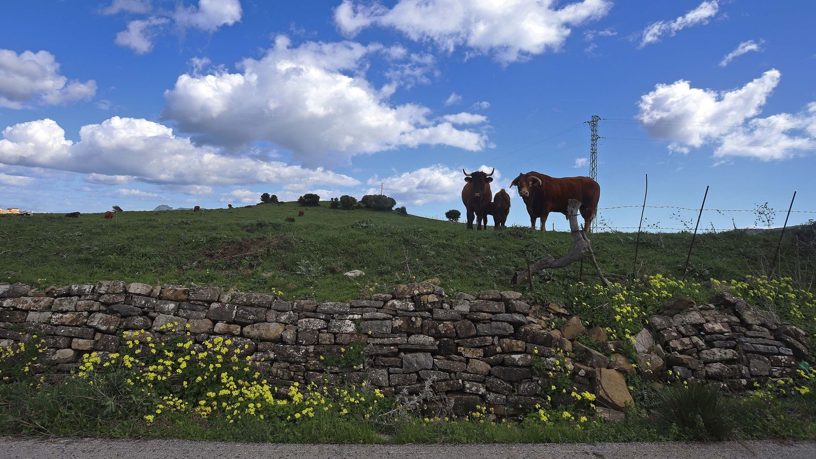 Carretera de Las Pantallas en Algeciras
