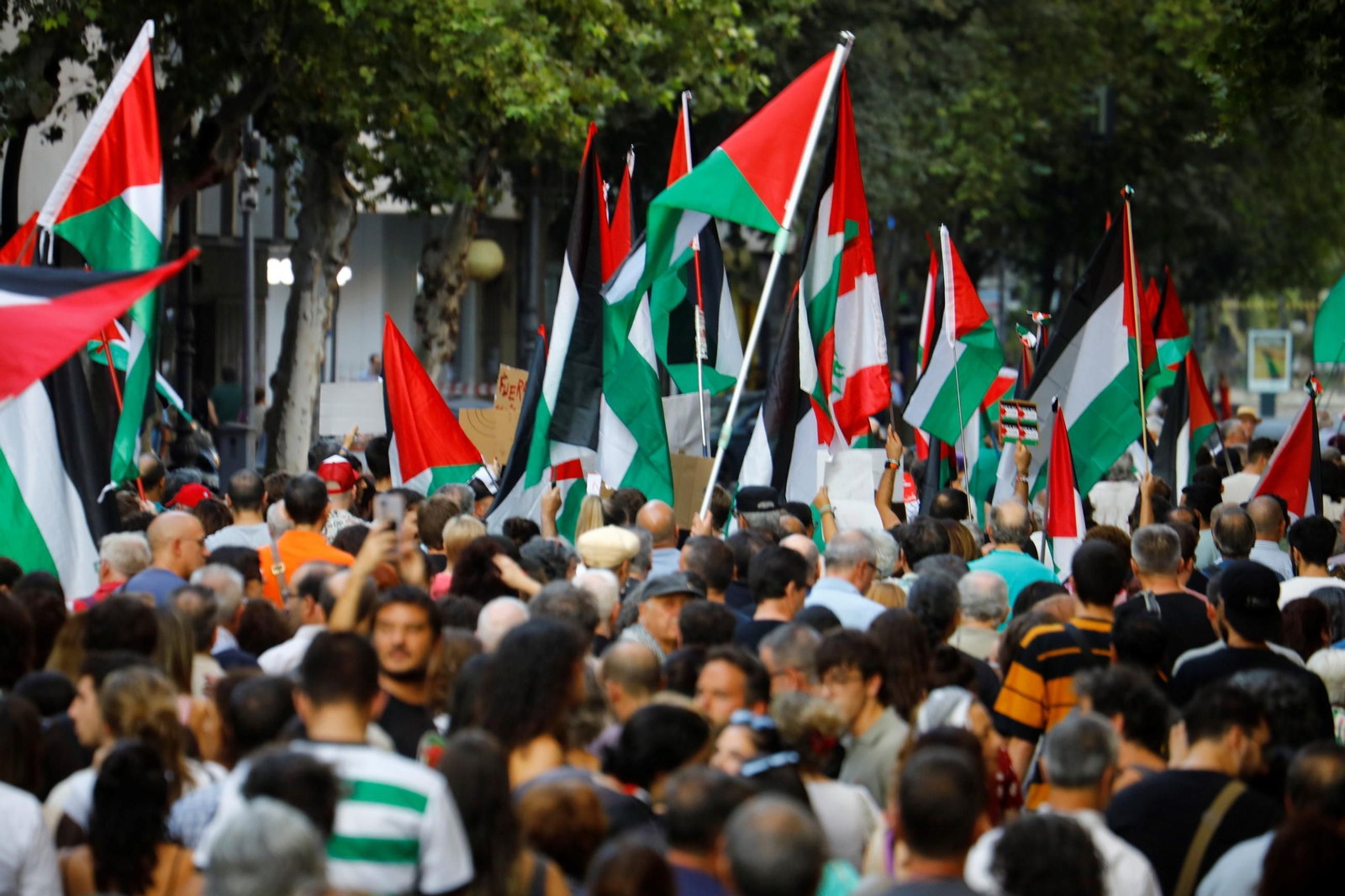 Las imágenes de la manifestación de Córdoba por Gaza