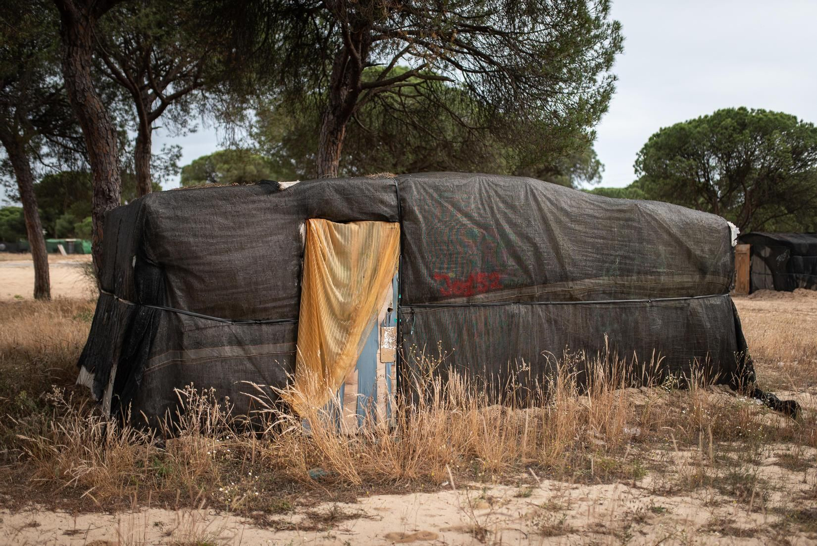 Galería de imágenes. La vida en el poblado chabolista de Las Madres (Moguer)