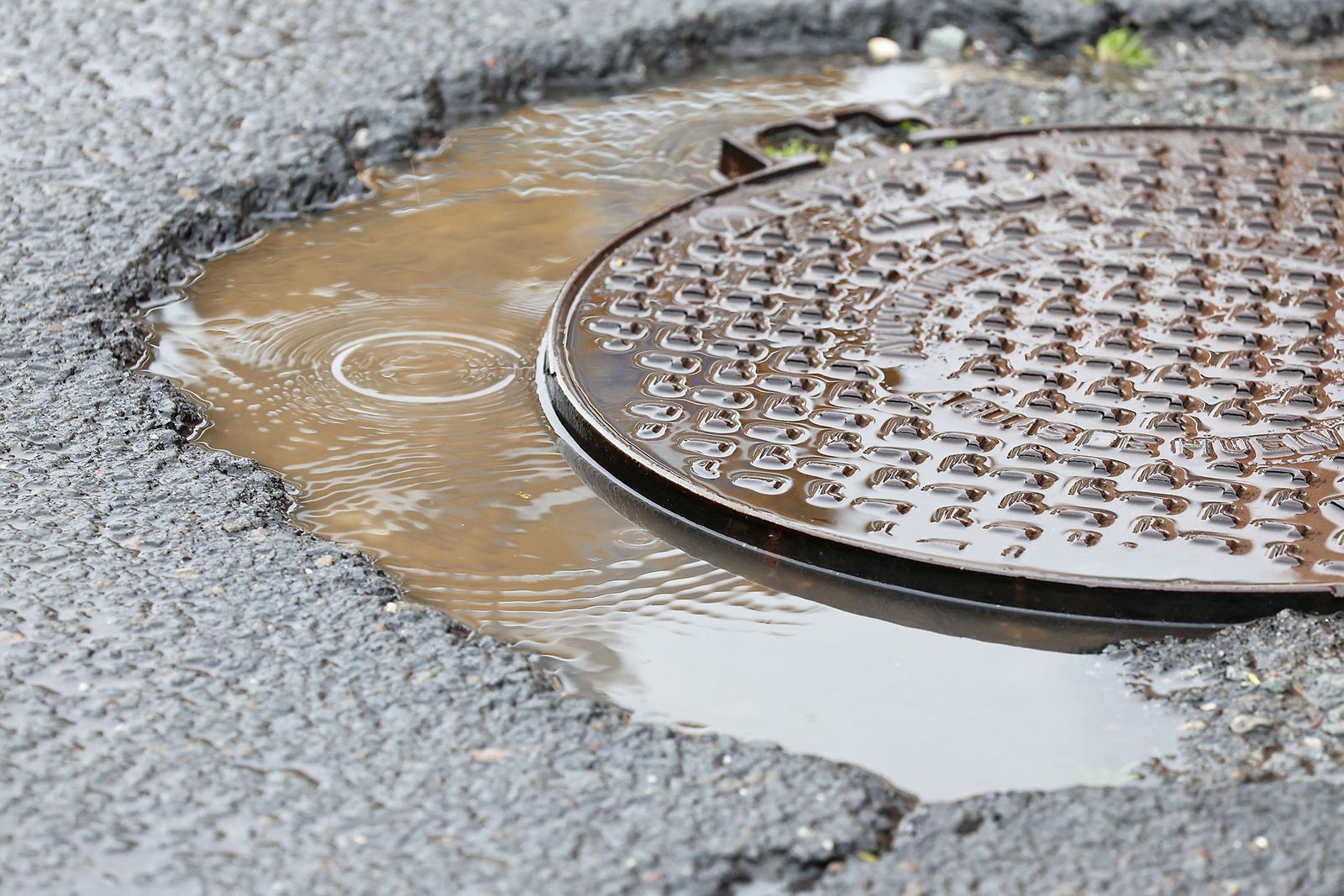 Las imágenes más destacadas del sábado 25 de enero en Huelva