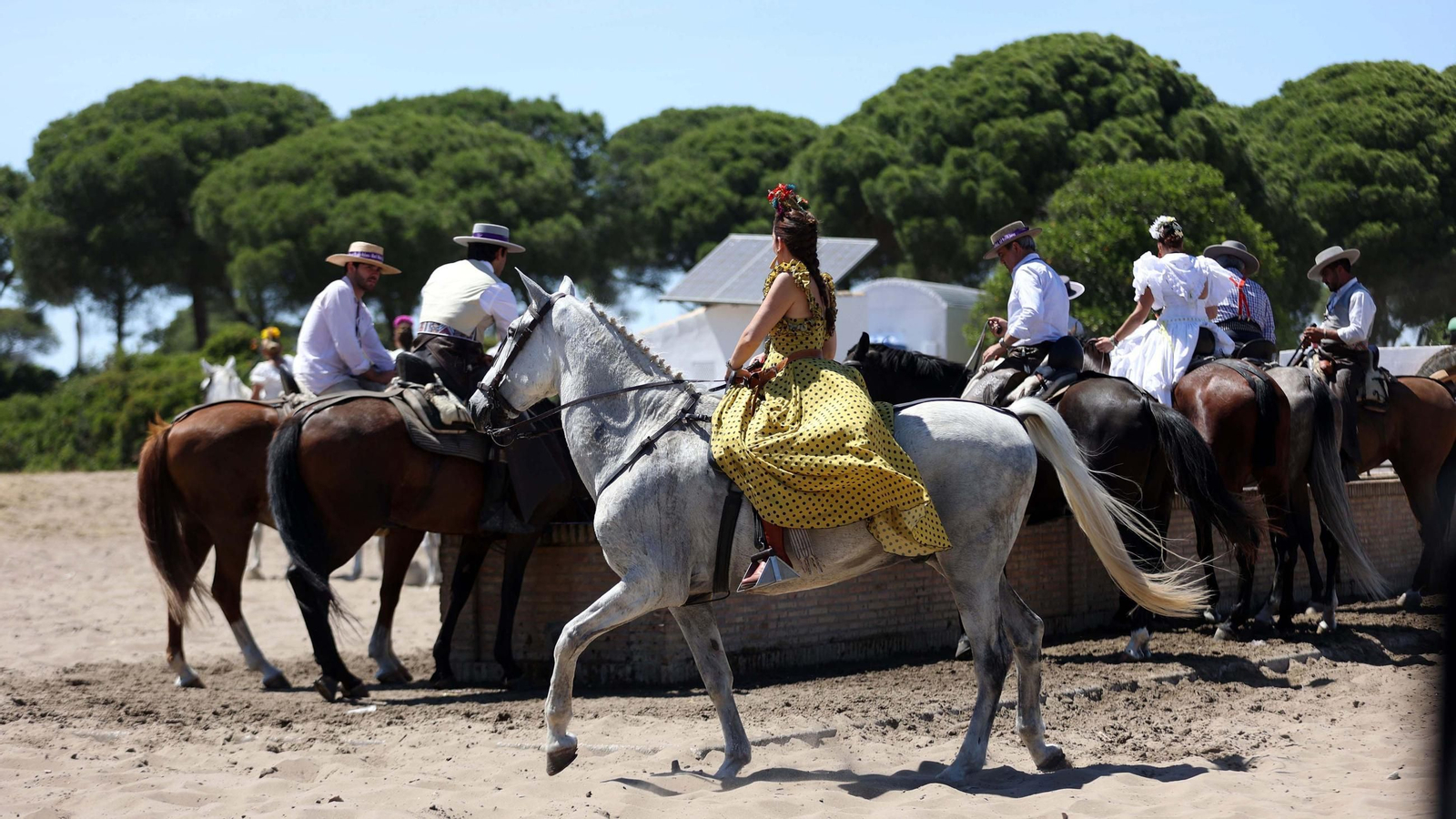 Jueves de camino de la Hdad de Jerez por el Coto Doñana