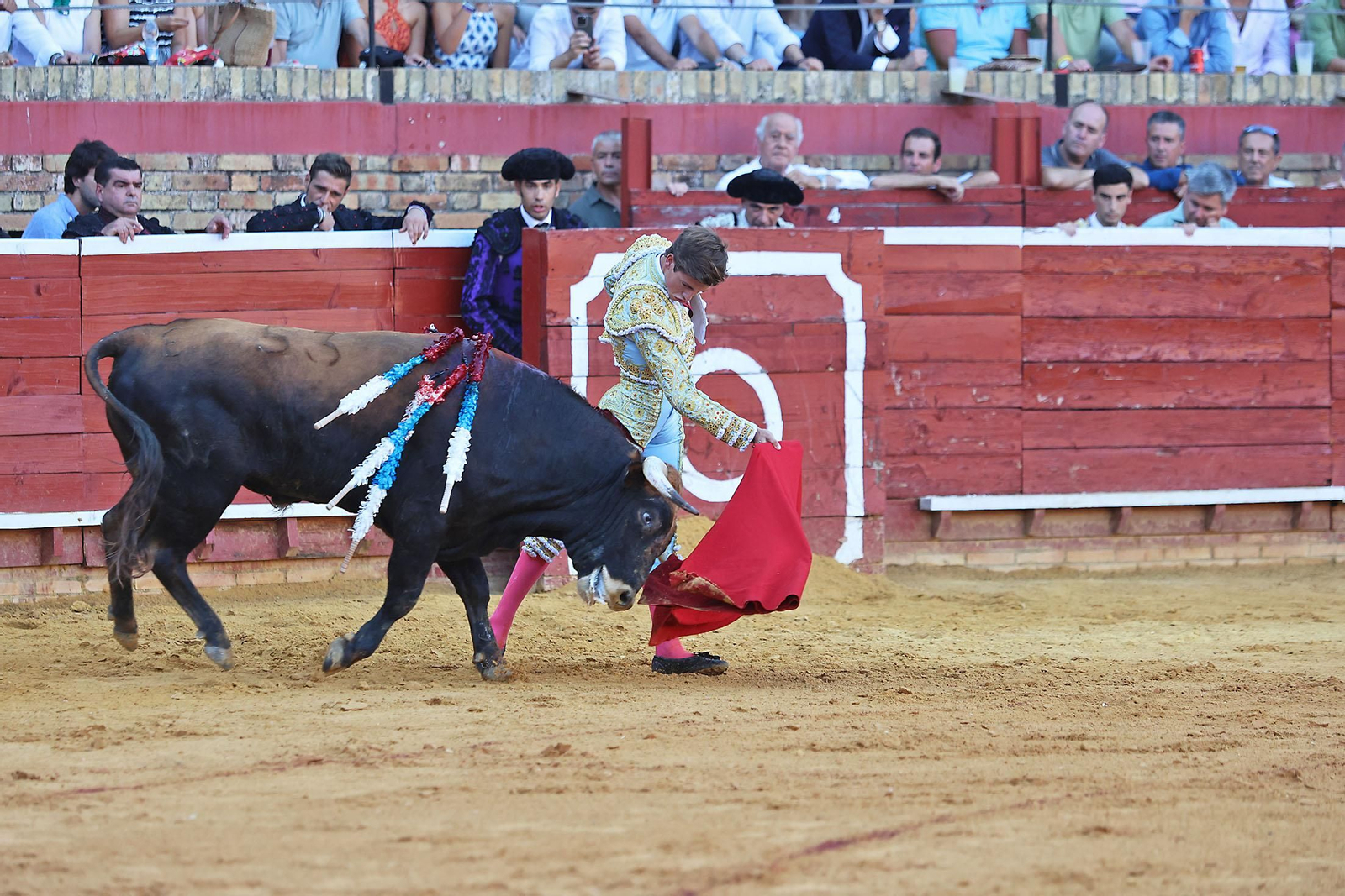 Toros La Merced 2024 Novillada con picadores(