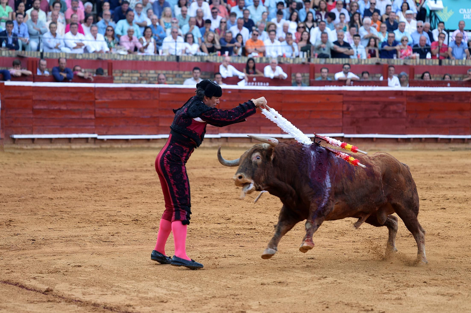 Toros La Merced 2025: Imágenes de la corrida de David de Miranda, Marco Pérez y Borja Jiménez