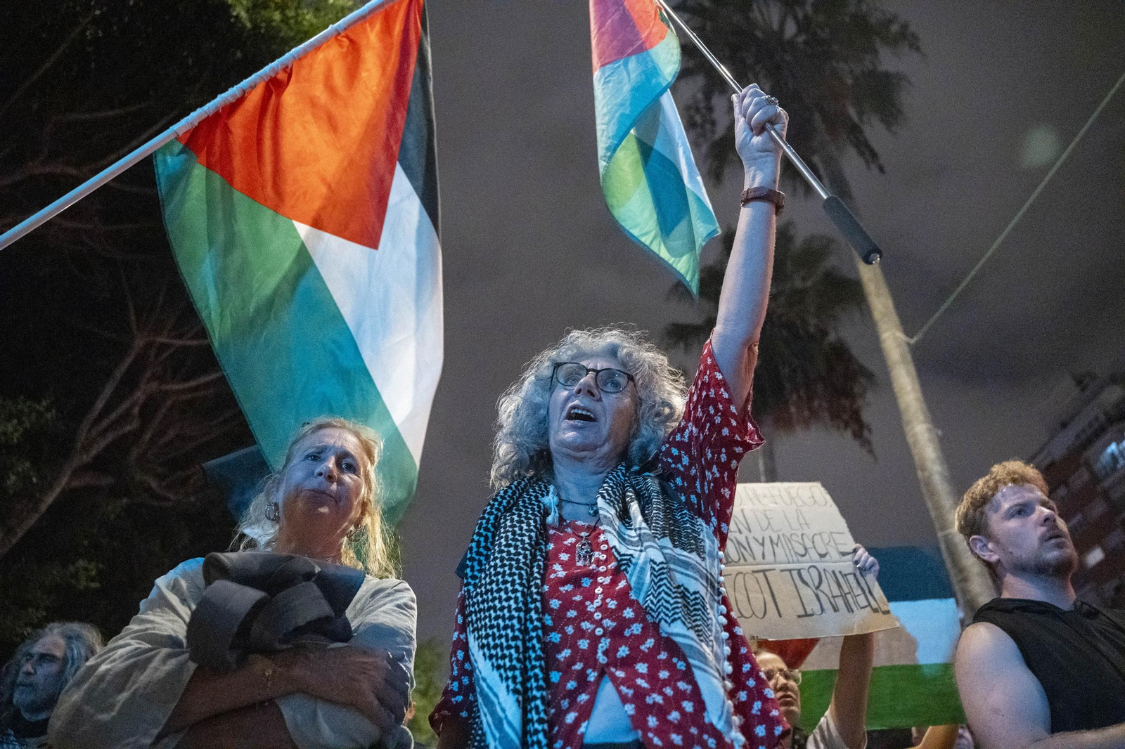 La Plataforma Almería por Palestina se manifiesta por la situación en Gaza, en imágenes