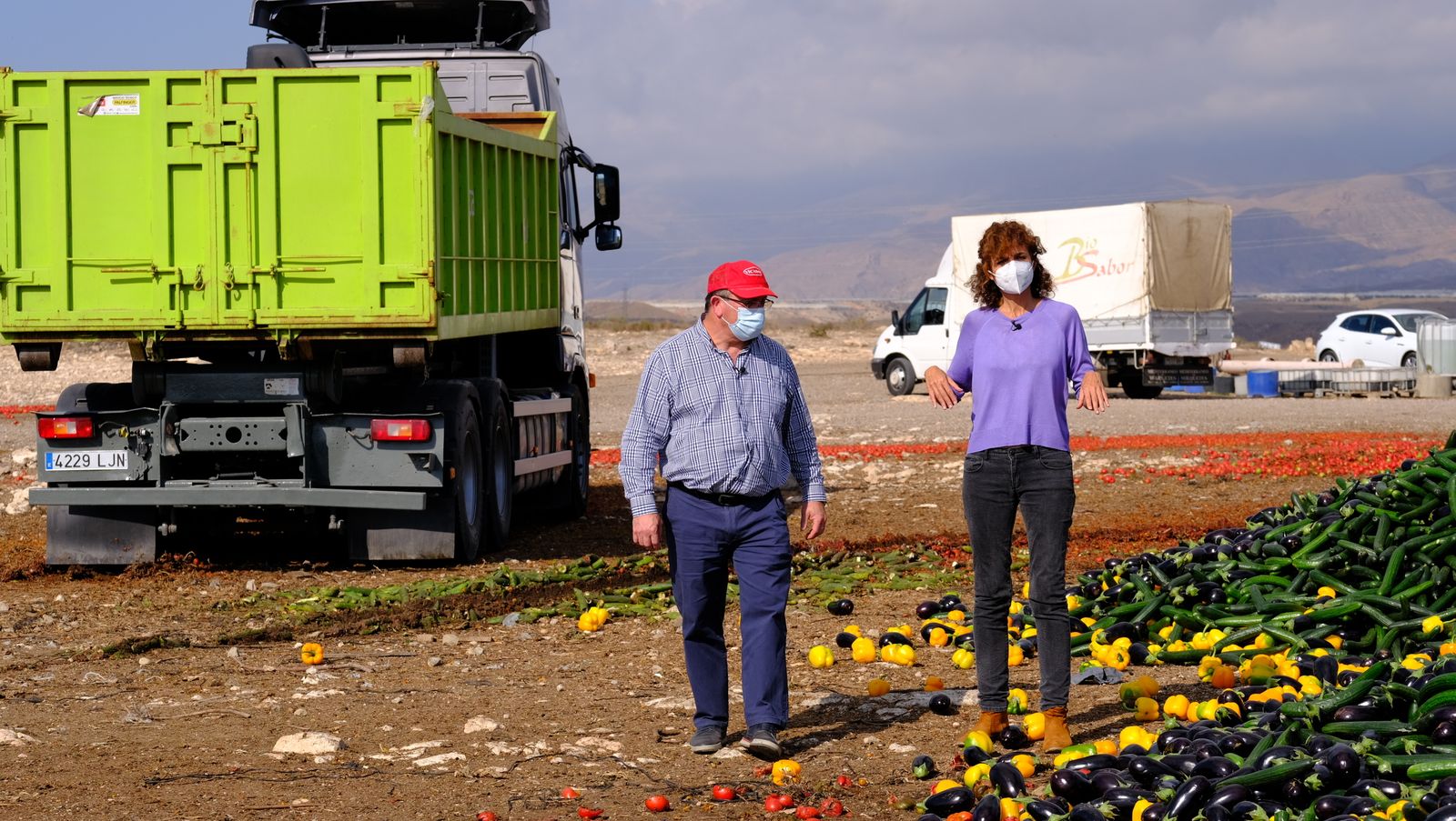 Fotogalería destrucción de pepinos en Almería
