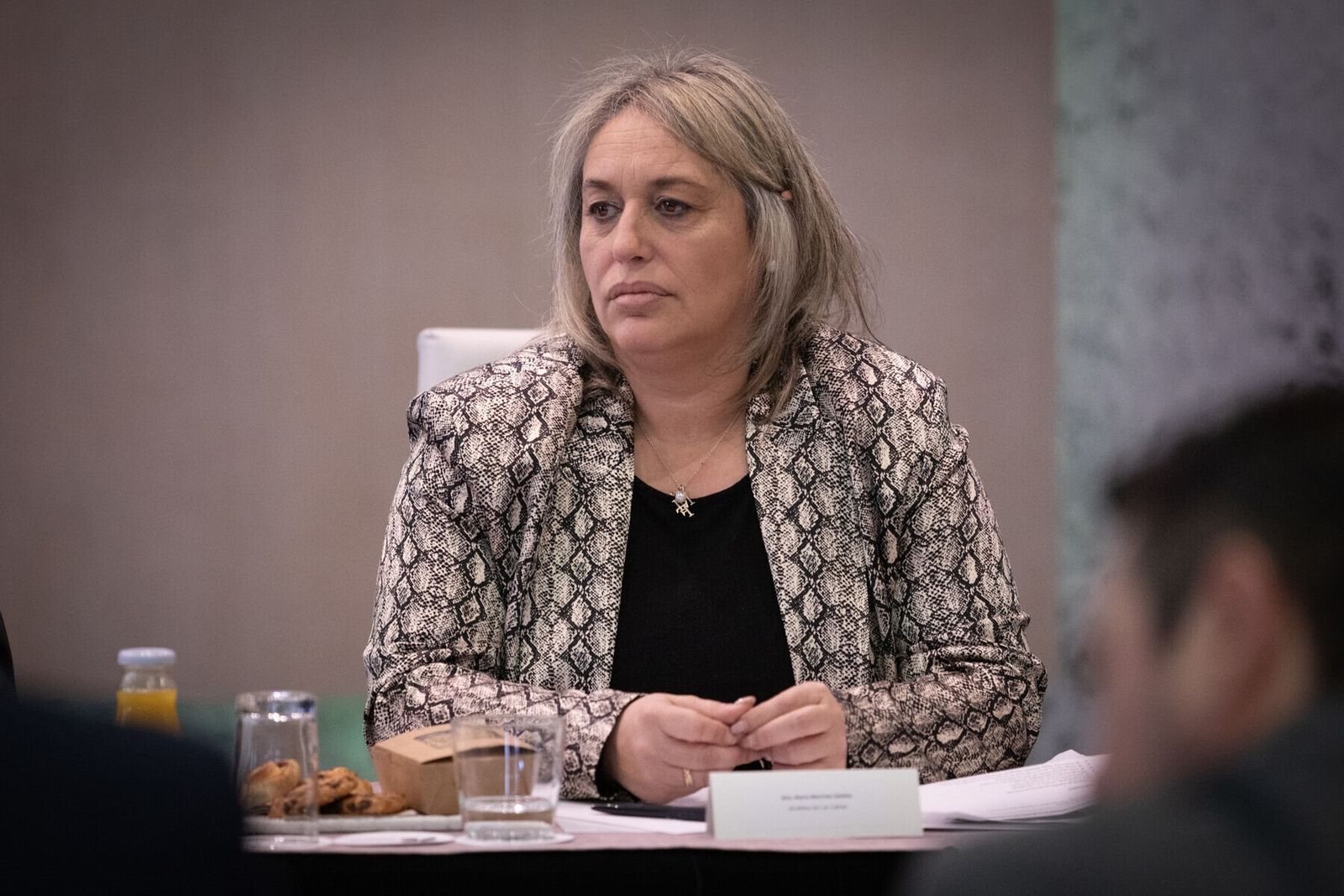 Así ha sido la reunión de los principales alcaldes de la provincia organizada por GranadaHoy