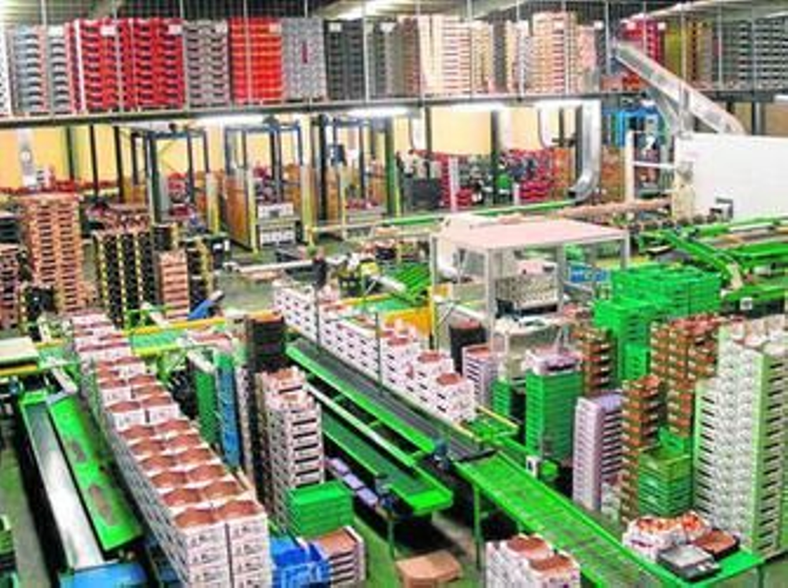 Planta de Agrícola Navarro de Haro.