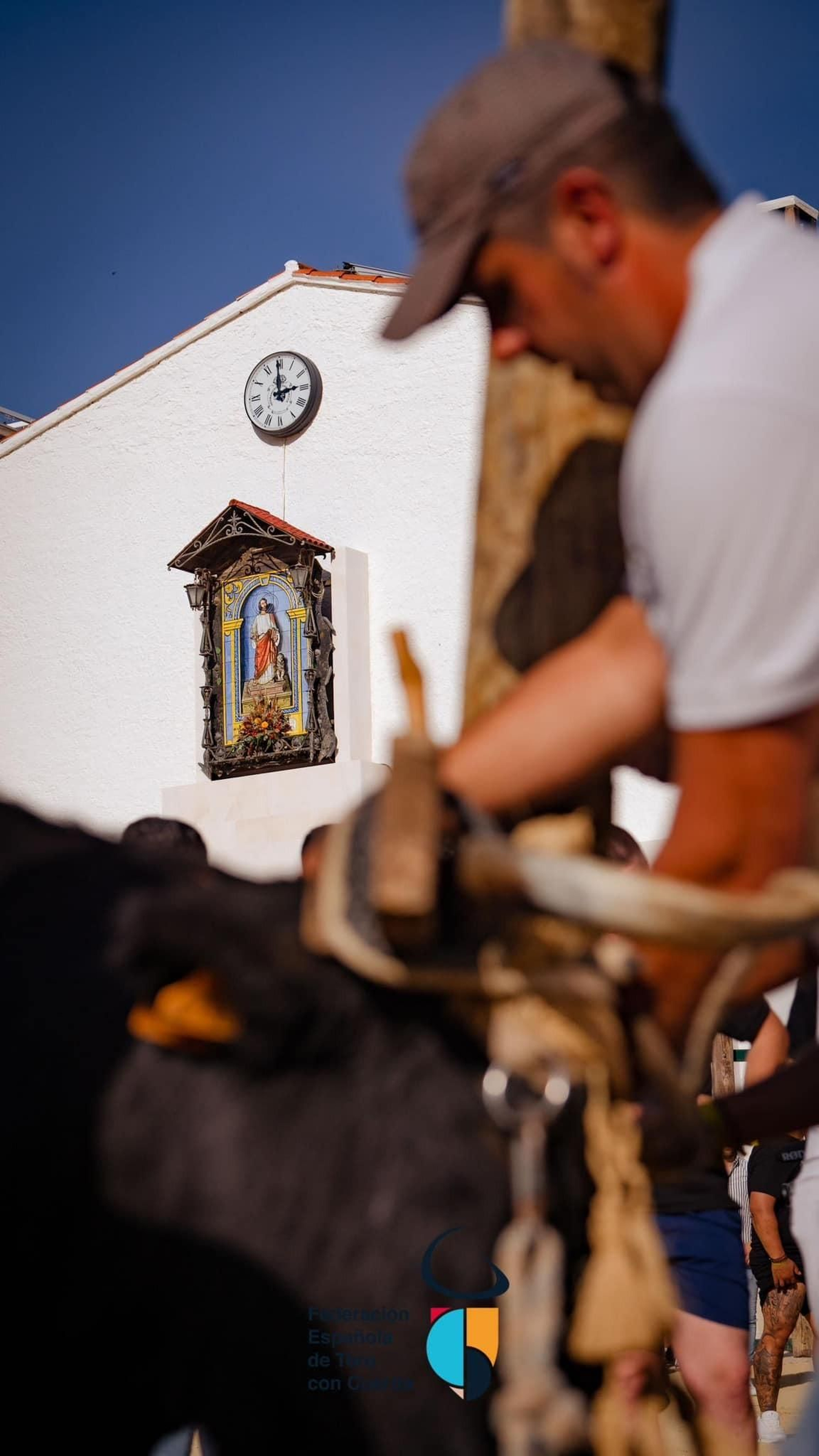 Congreso Nacional ‘Toro con Cuerda’ de Beas de Segura, en imágenes