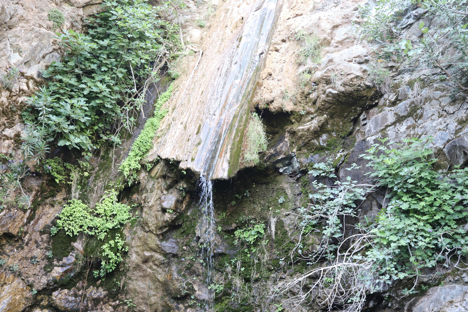 Así lucen Jorox, su entorno y su cascada, un oasis en Málaga para el caluroso verano de Andalucía