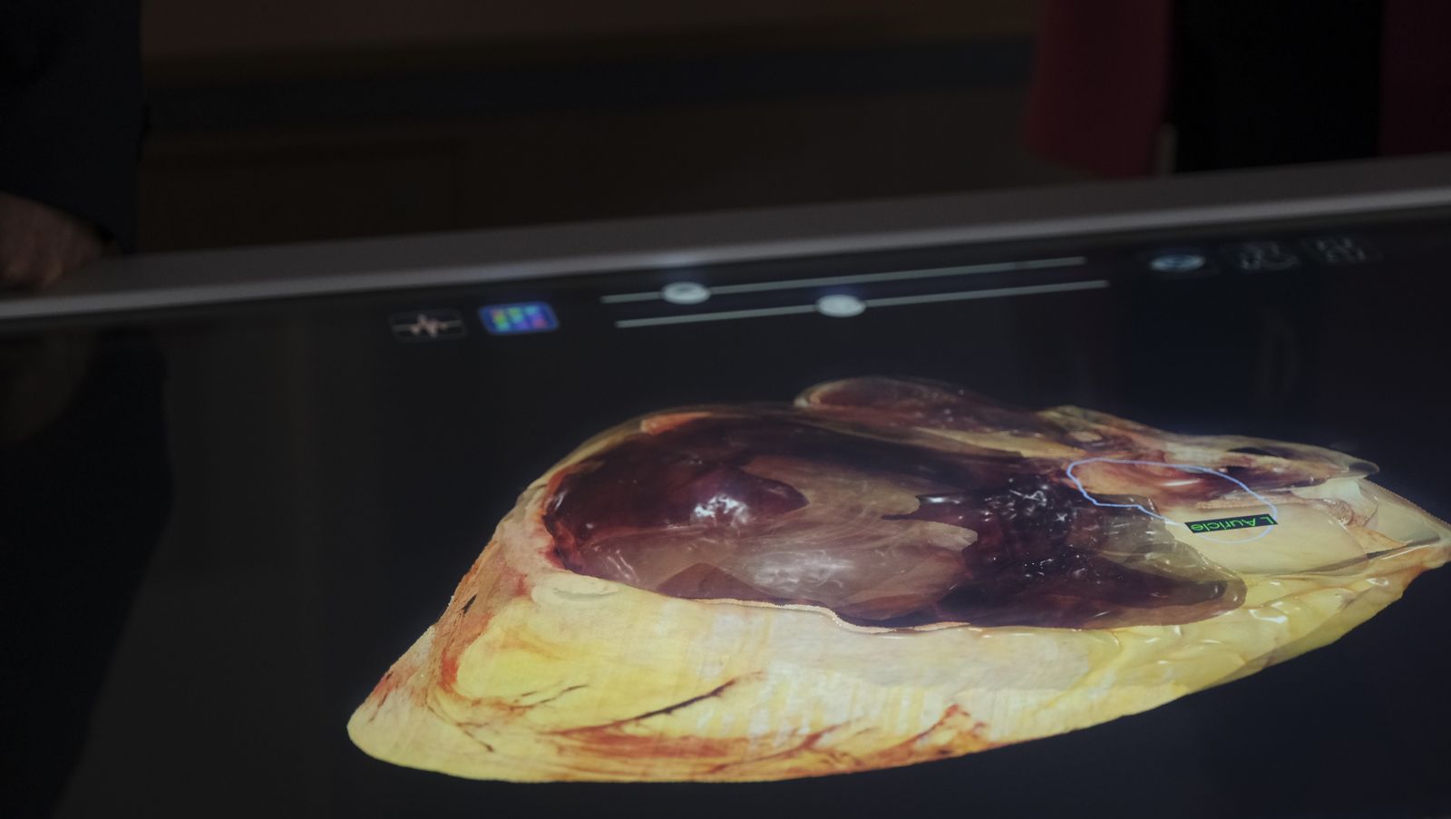 Imágenes de la nueva Facultad de Medicina de Almería