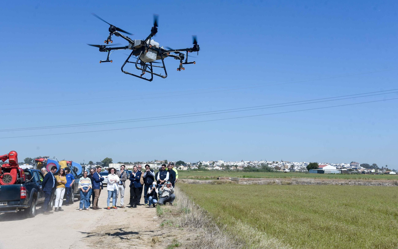 Control de larvas por el Virus del Nilo en la marisma de La Puebla del Río