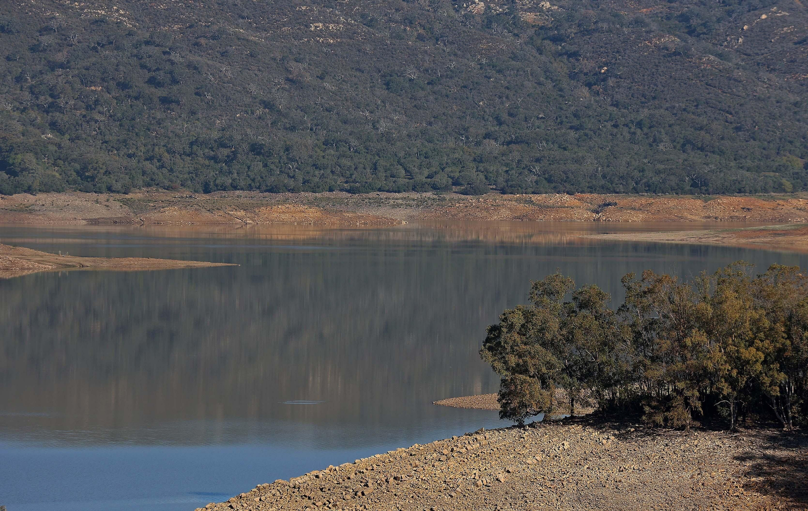 Imágenes del estado actual de los pantanos del Campo de Gibraltar
