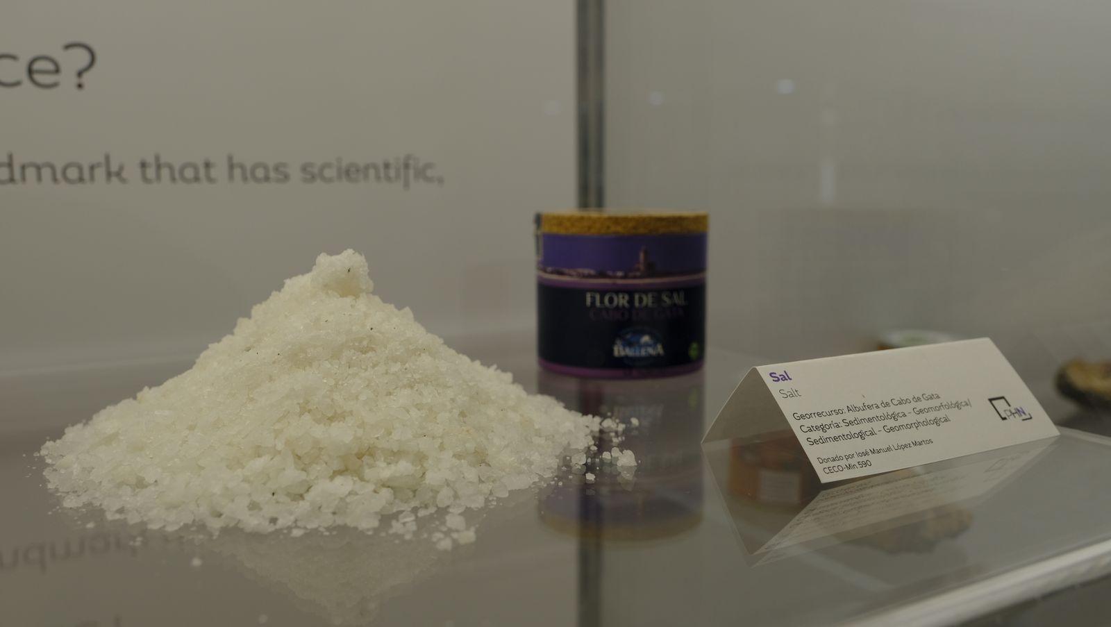 Las mejores imágenes del Pabellón de Historia Natural de la UAL