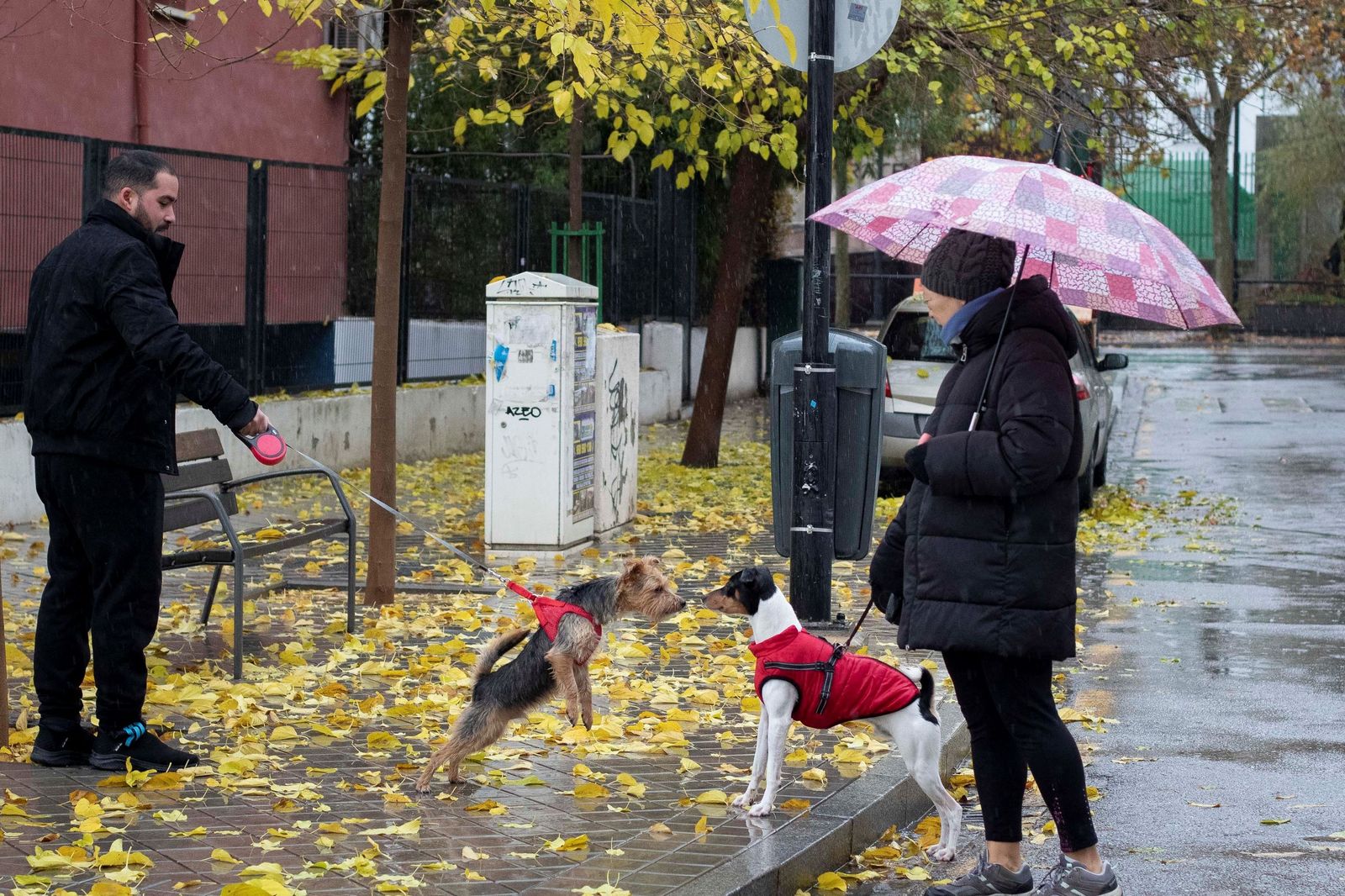 Granada bajo el temporal: imágenes de la ciudad durante la alerta naranja