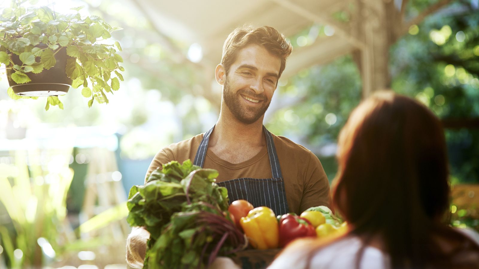 Basf Vegetable Seeds entrevista a profesionales de distintas áreas.
