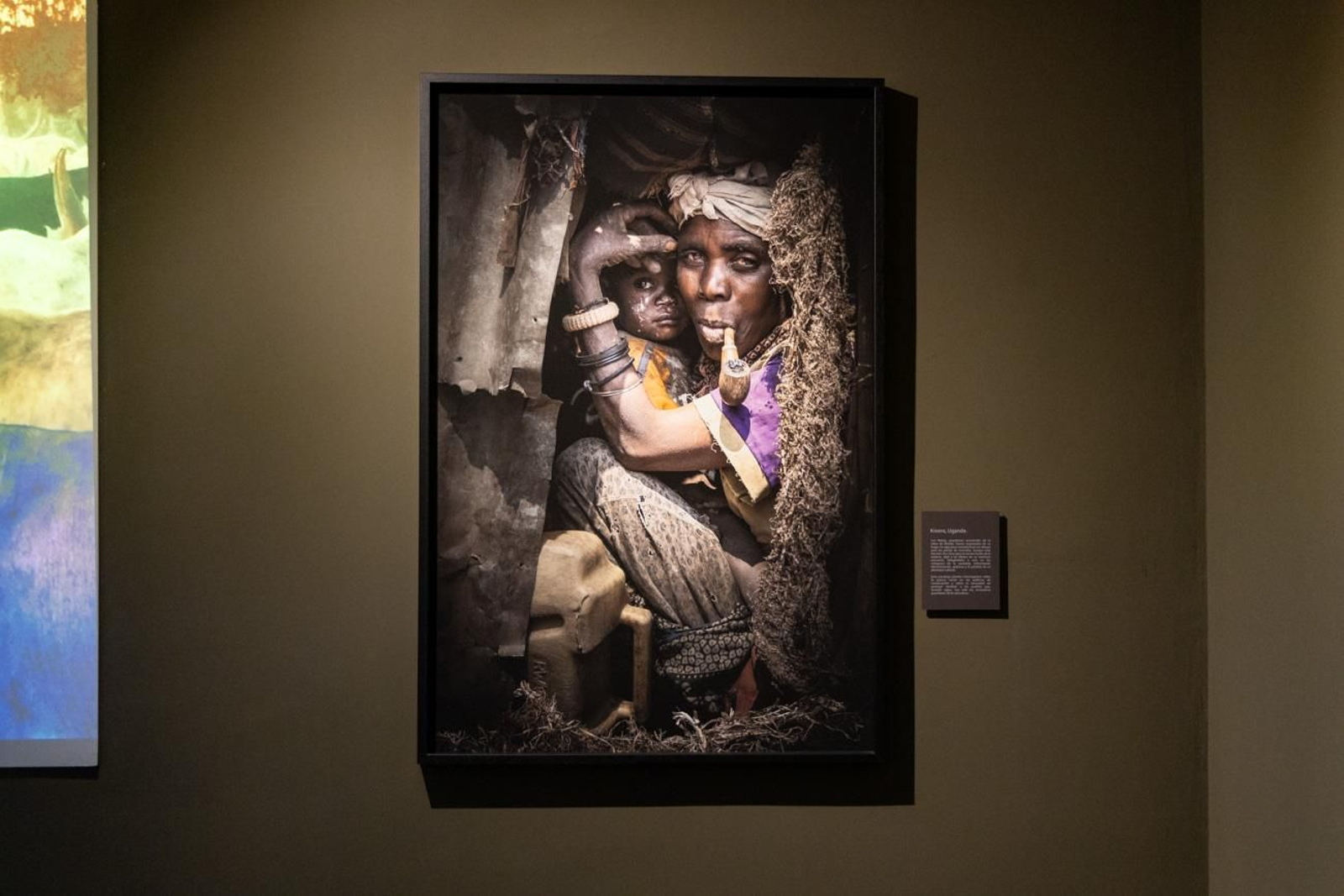 One Health en imágenes: la fotogalería de Katy Gómez que te hará reflexionar sobre la salud global