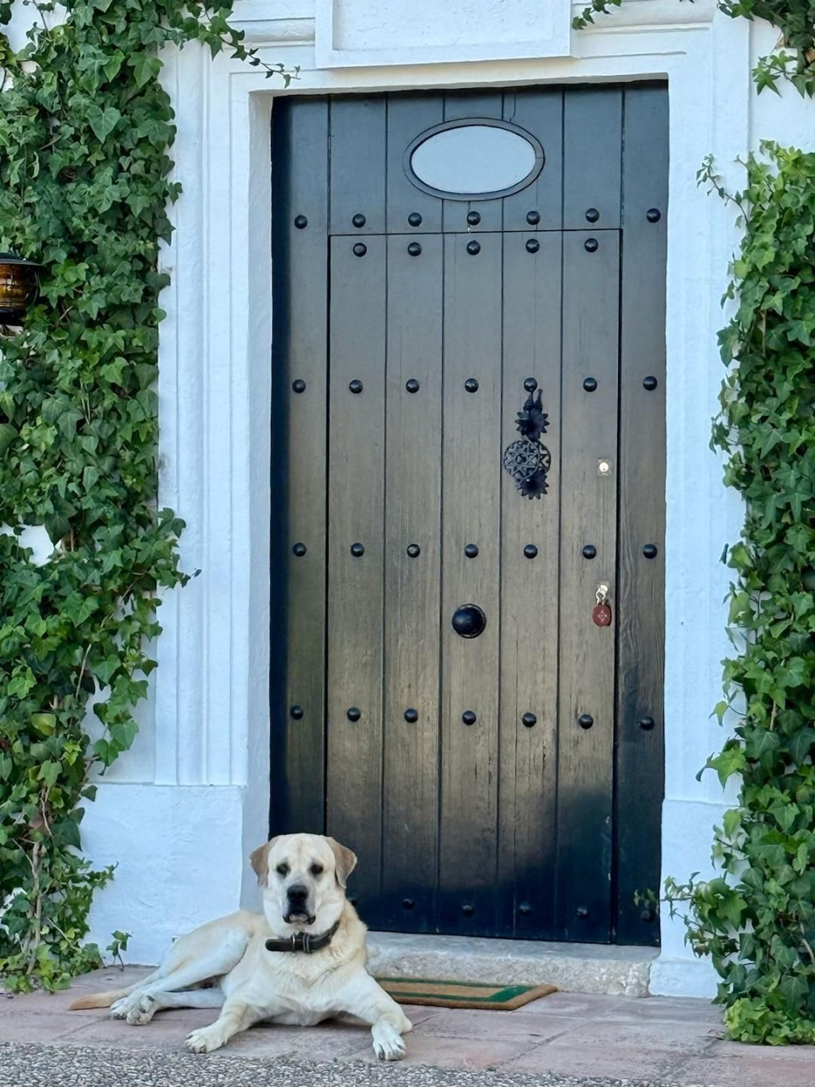 Puerta de entrada a la casa.