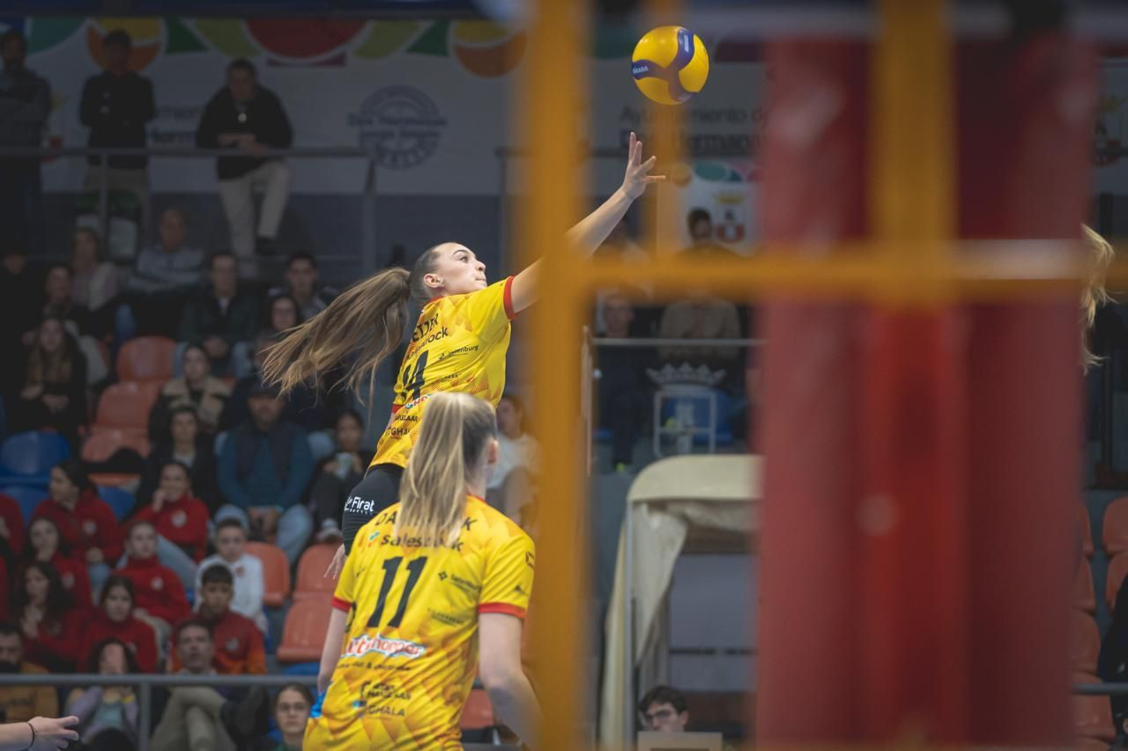 Las fotos del Fundación Cajasol Andalucía-Dynamo Apeldoorn