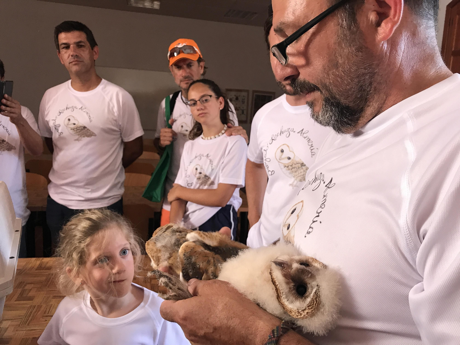 Fotogalería de las nuevas crías de lechuza en Rodalquilar