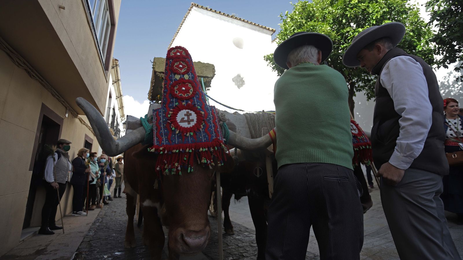 Fotos de la Romería de San Isidro en Los Barrios