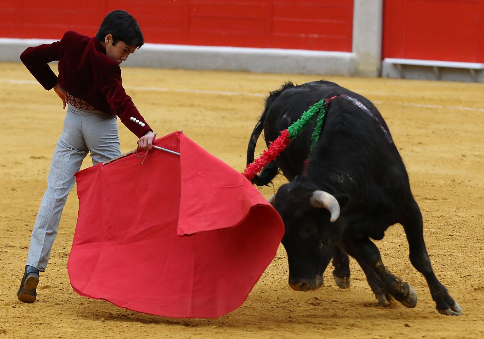 El Festival Taurino Granadown, en imágenes