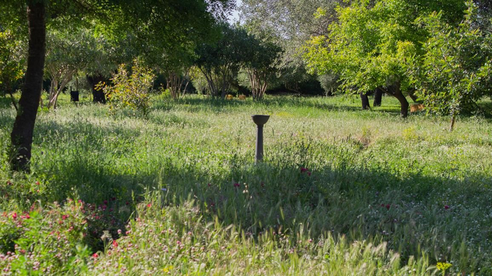 Fotos del parque municipal El Torrejón