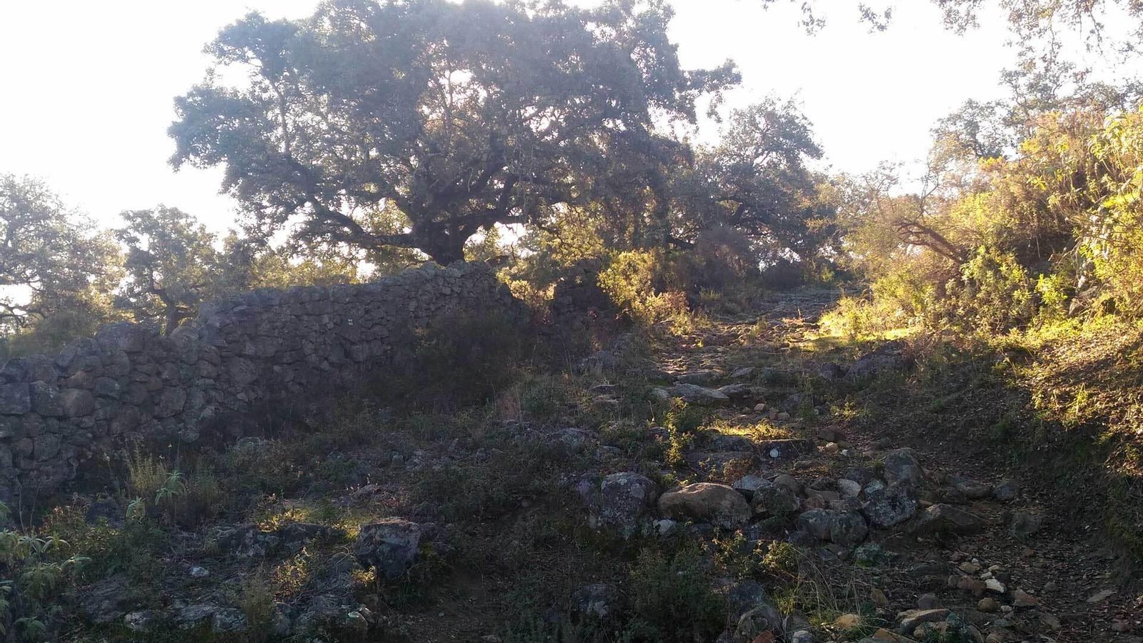 Ascenso al Cerro de las Ánimas.
