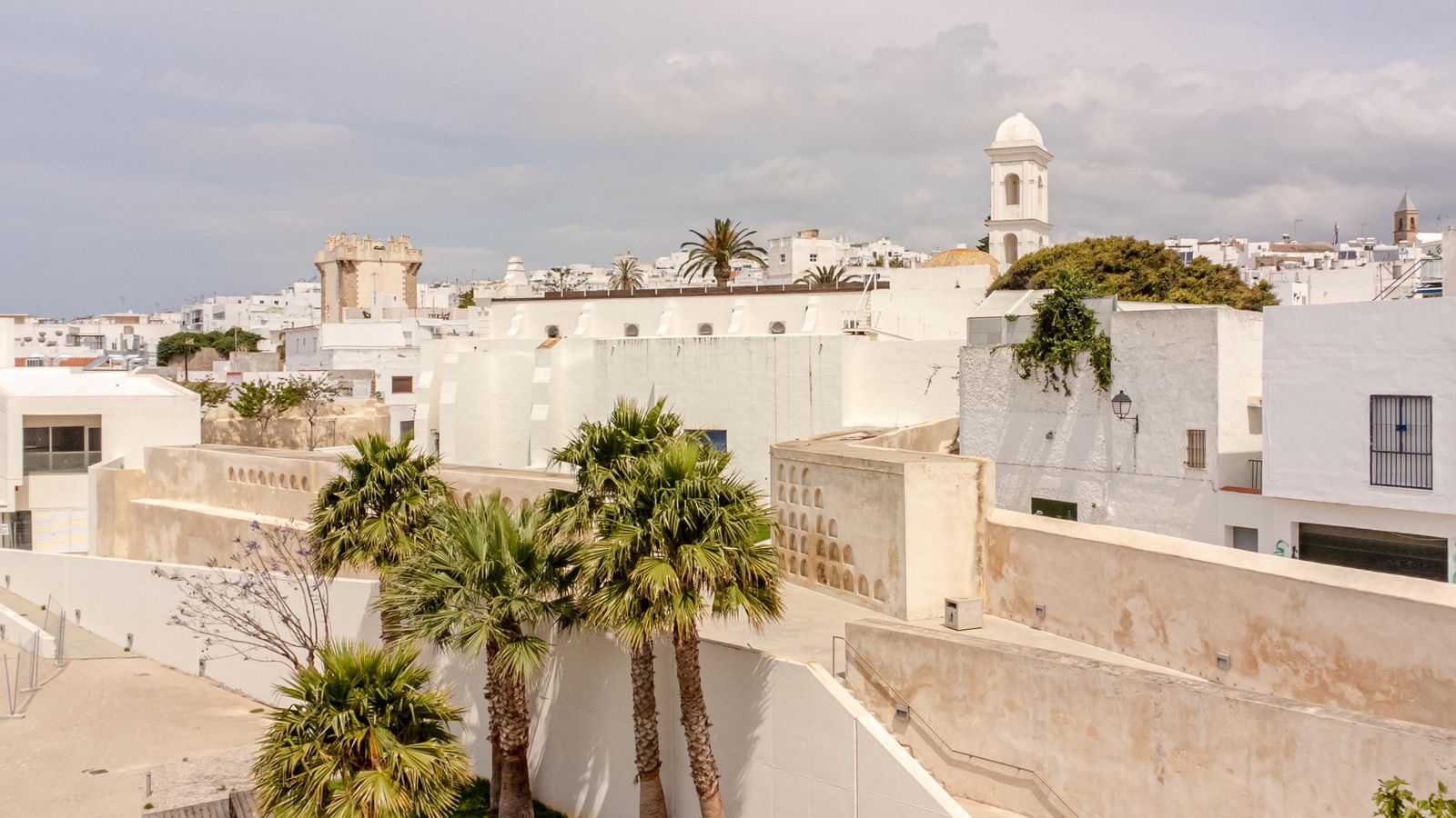 Todos los viernes, hasta el 20 de marzo, habrá unas jornadas medioambientales en La Chanca de Conil