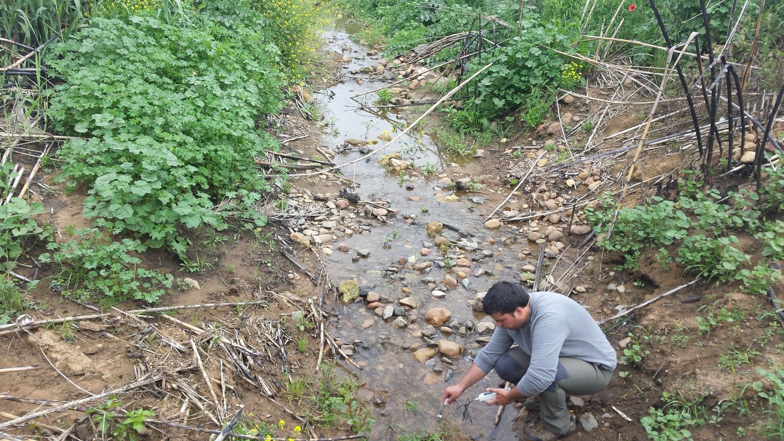 Arroyo temporal, Huerta de Mallorga.