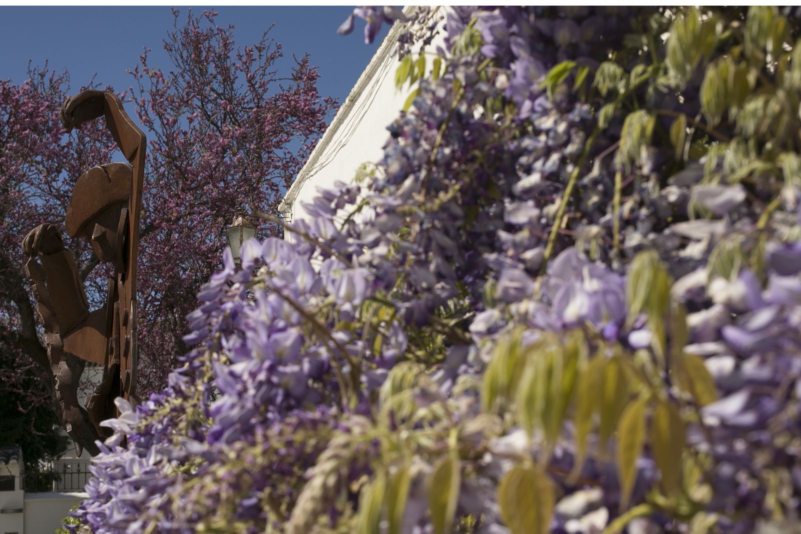 La primavera deja ver su paleta de color