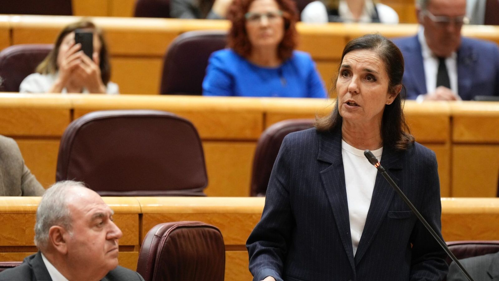 Pilar Rojo, en una intervención en el Pleno del Senado.