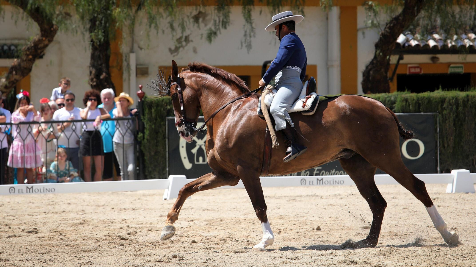 Lo que no te puedes perder en la Feria del Caballo de Jerez