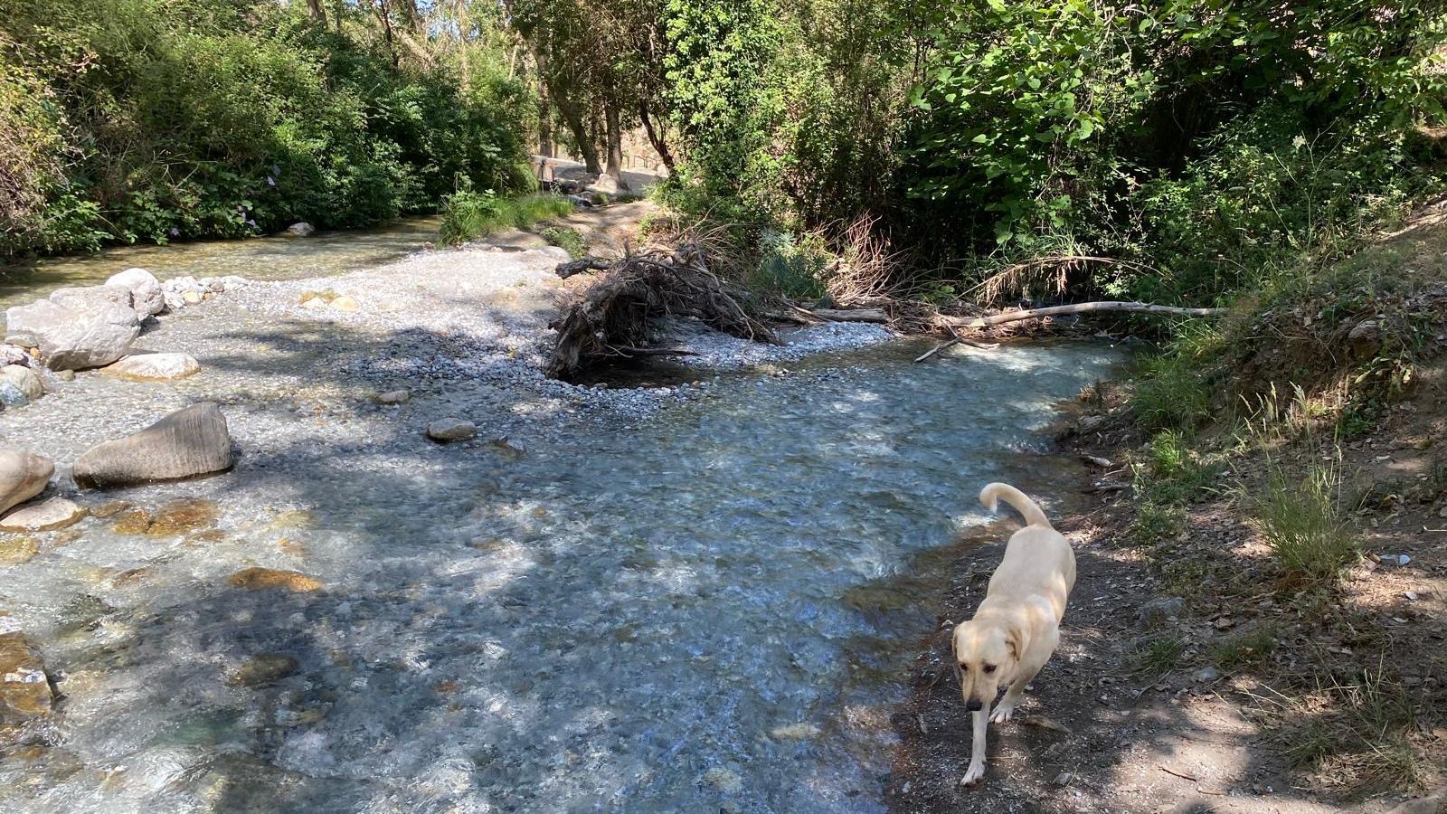 Es una zona perfecta para pasar los calurosos días de verano de Granada.